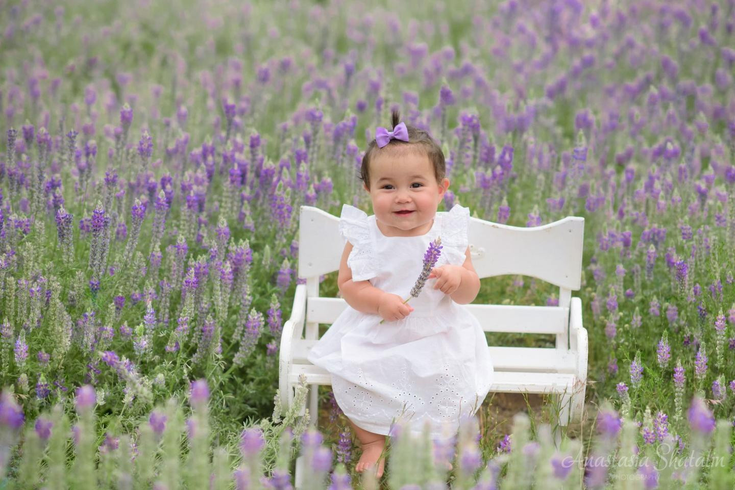 Family outdoor portraits lake Tahoe. Family photographer in Roseville, Rocklin, Folsom, Sacramento