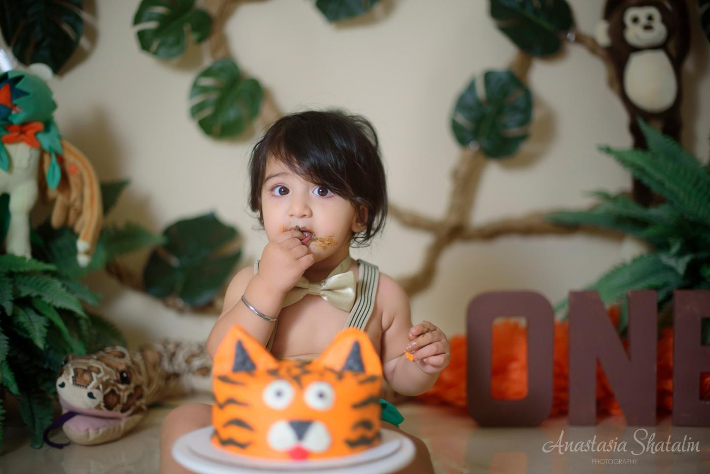 Jungle themed cake smash first birthday photography, Roseville, CA. Family photographer in Roseville, Rocklin, Folsom, Sacramento