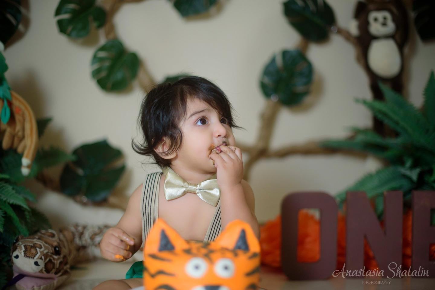 Jungle themed cake smash first birthday photography, Roseville, CA. Family photographer in Roseville, Rocklin, Folsom, Sacramento