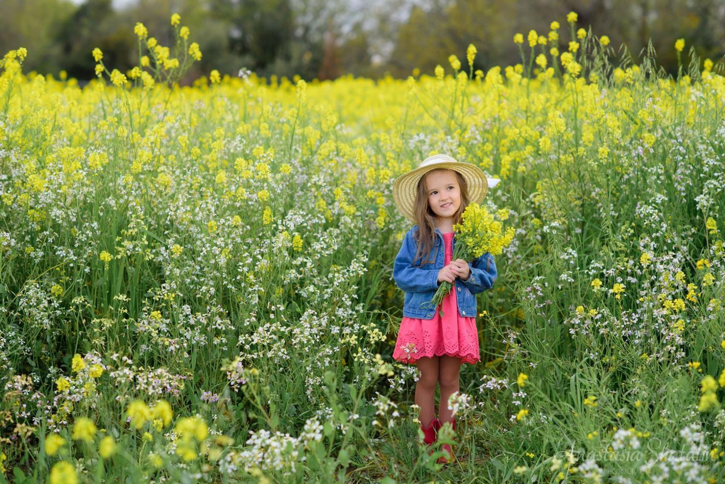 Photo shoot in the field with yellow flowers in Sacramento area. Family photographer in Roseville, Rocklin, Folsom, Sacramento