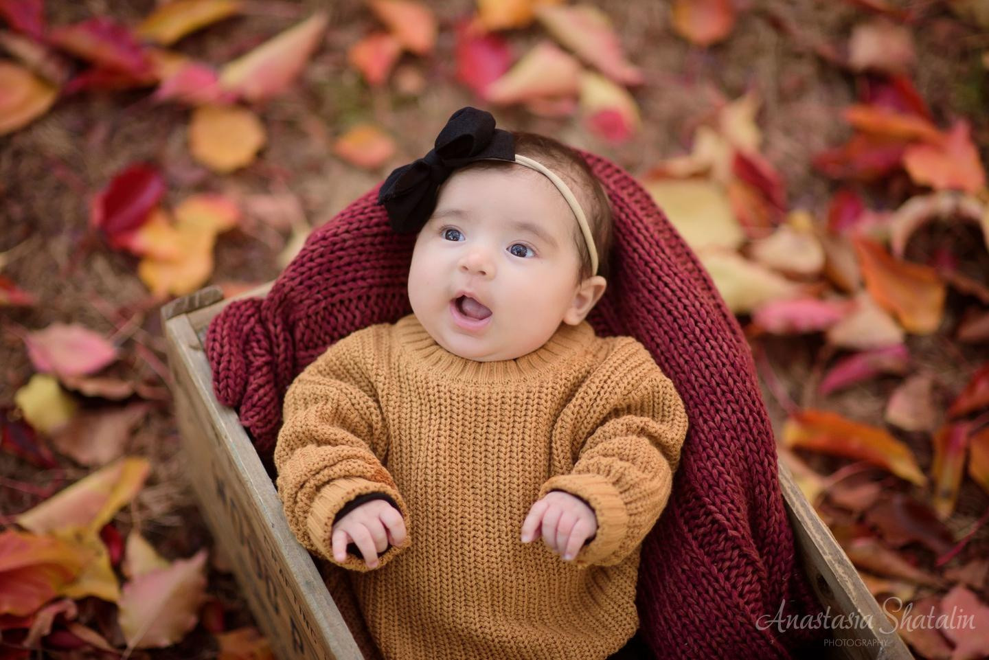 Fall autumn photography Folsome, Roseville, Rocklin. Family photographer in Roseville, Rocklin, Folsom, Sacramento