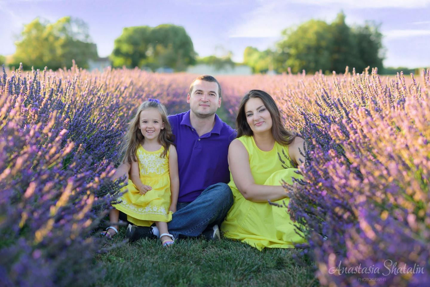 Lavender field photo shoot near Sacramento. Family photographer in Roseville, Rocklin, Folsom, Sacramento