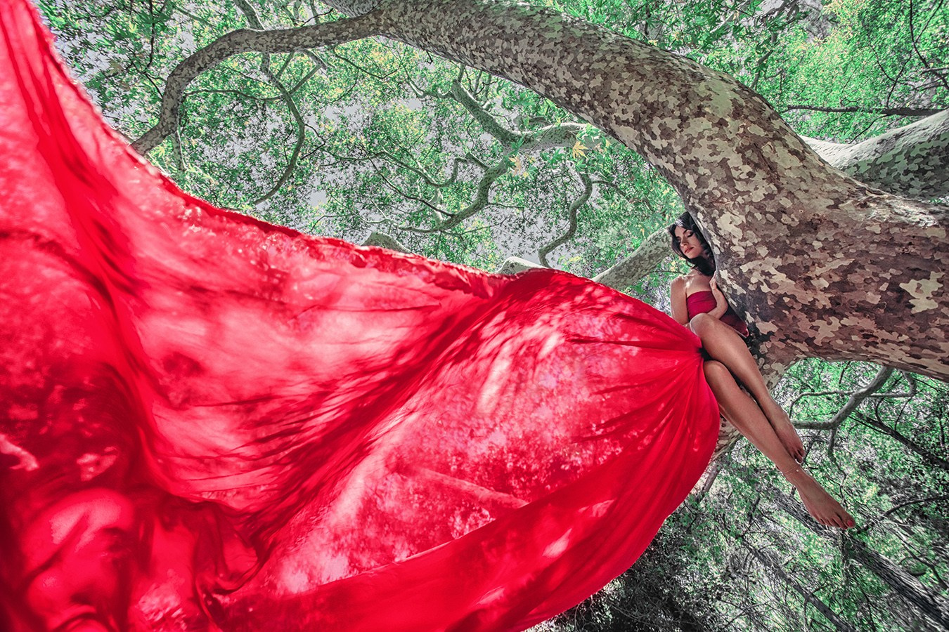 Photography. Lolly Shine. Contemporary digital artist