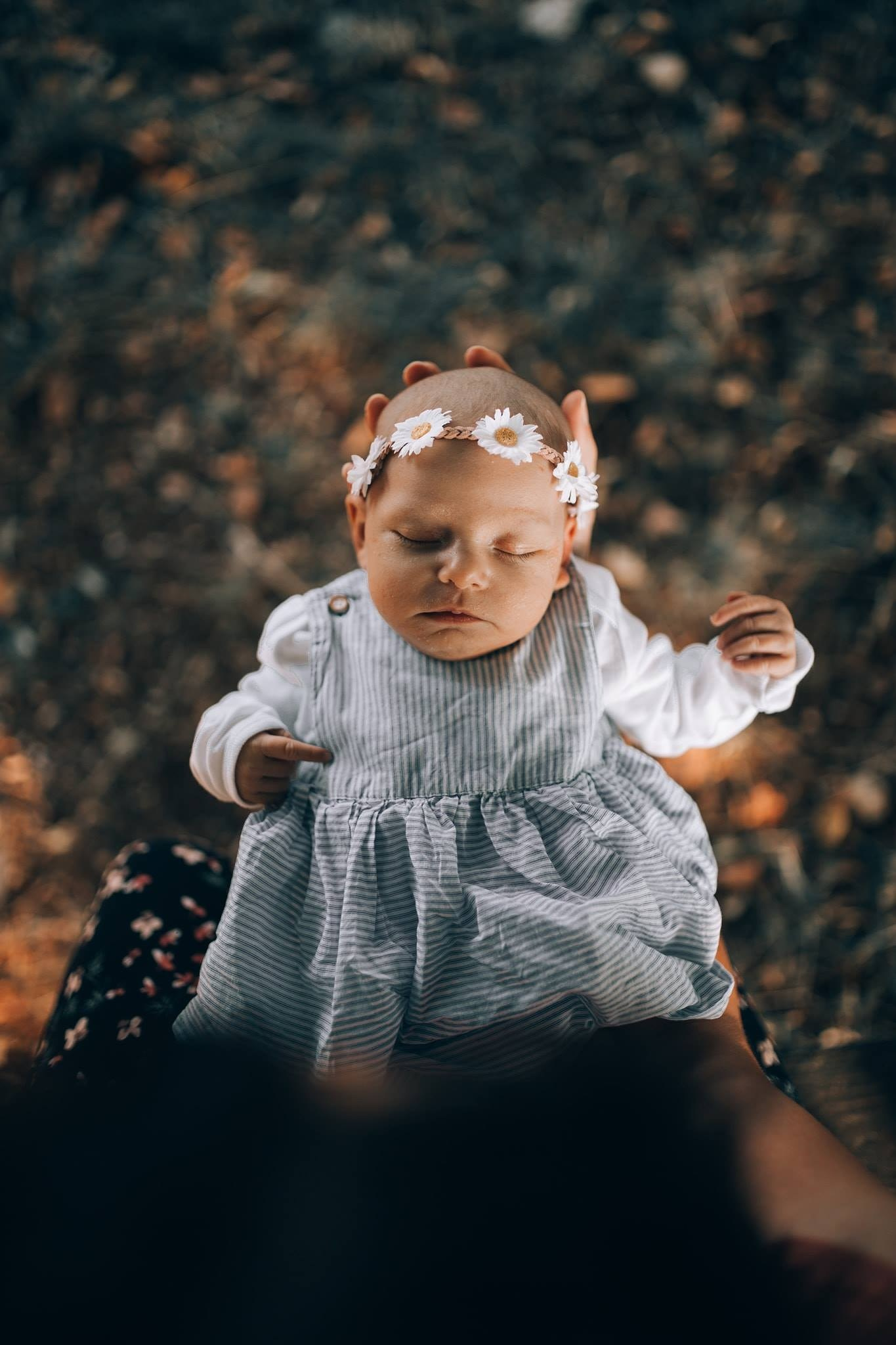 Familia de eroi. Emotions Photo Art