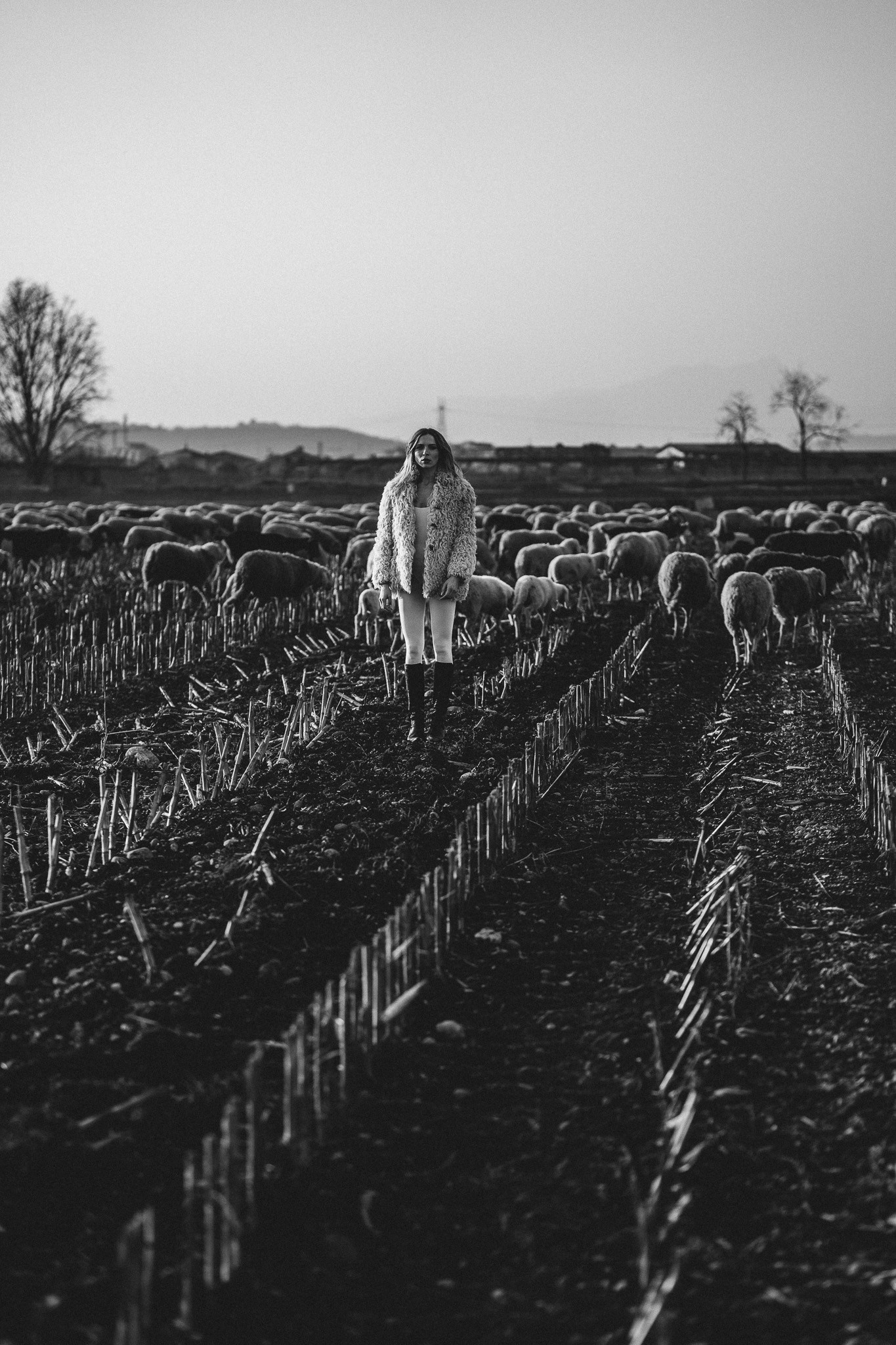 A thousand sheeps. Diana Fedrigo | Fotografa matrimoni in Italia