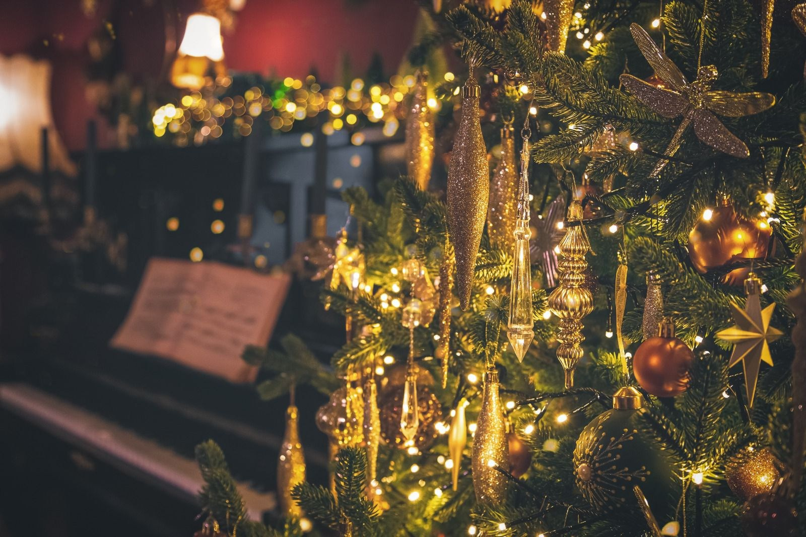 Sedinte foto Craciun Bucuresti