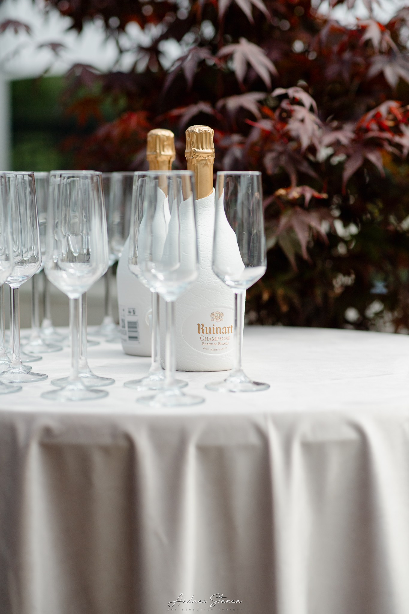 Claudia & Mircea. Andrei Stanea