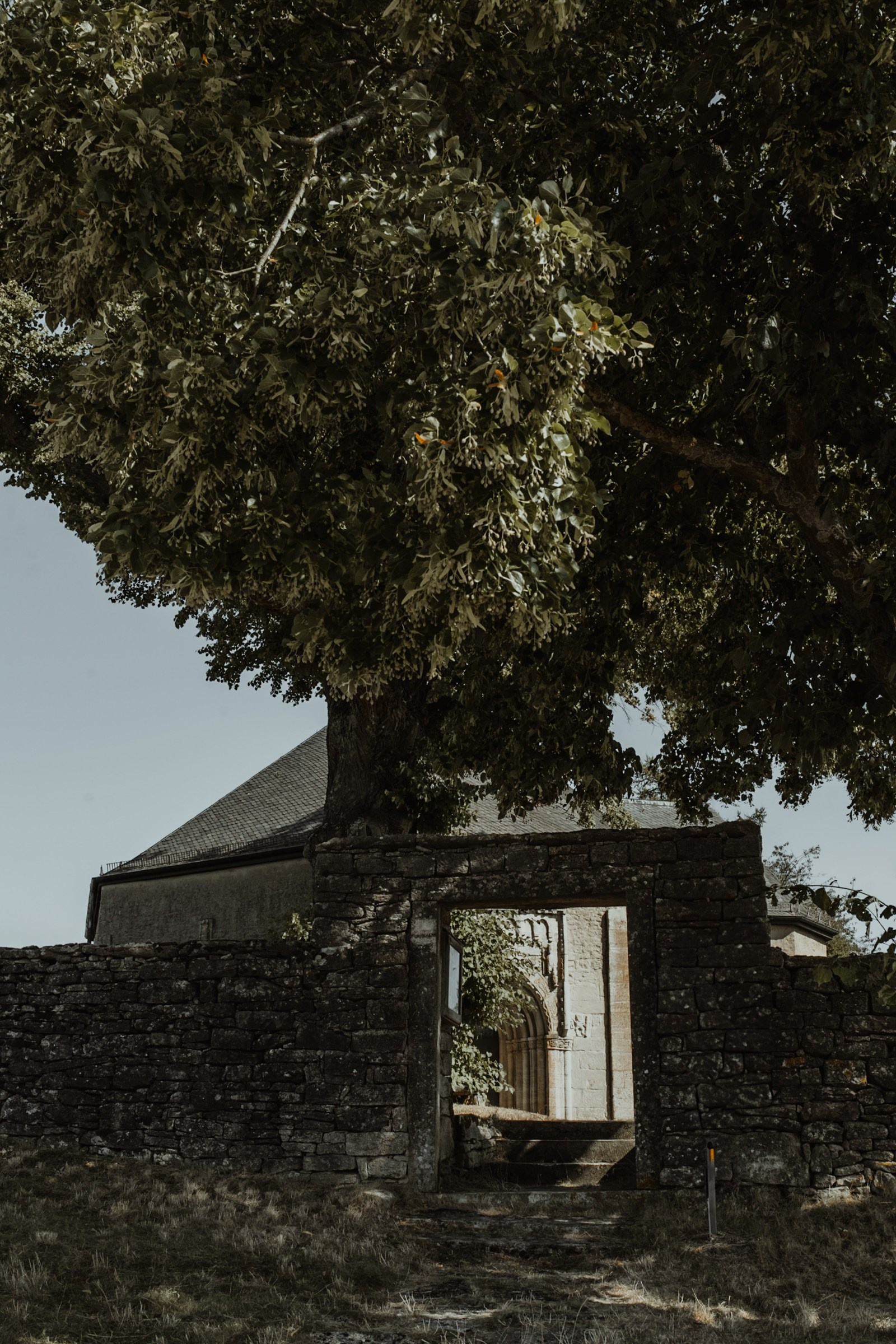 📸 Hochzeitsfotograf Würzburg | Shakira & Pirmin | Anna Saribekyan. Anna Saribekyan – Beste Hochzeitsfotografin in Würzburg, Top 10 in Deutschland