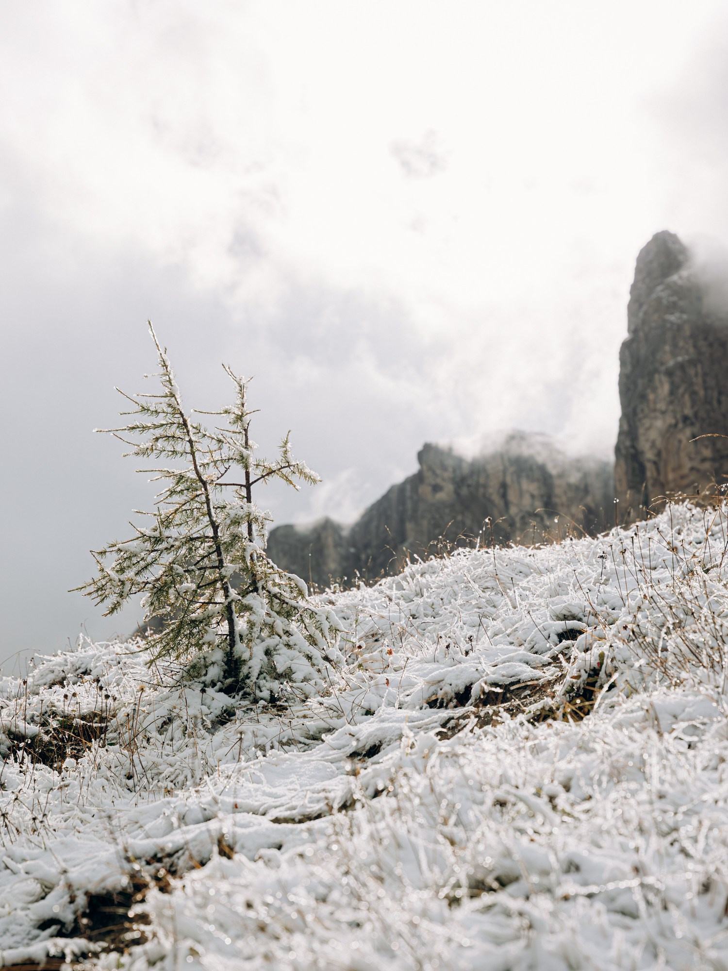 A and A in snowy Dolomites