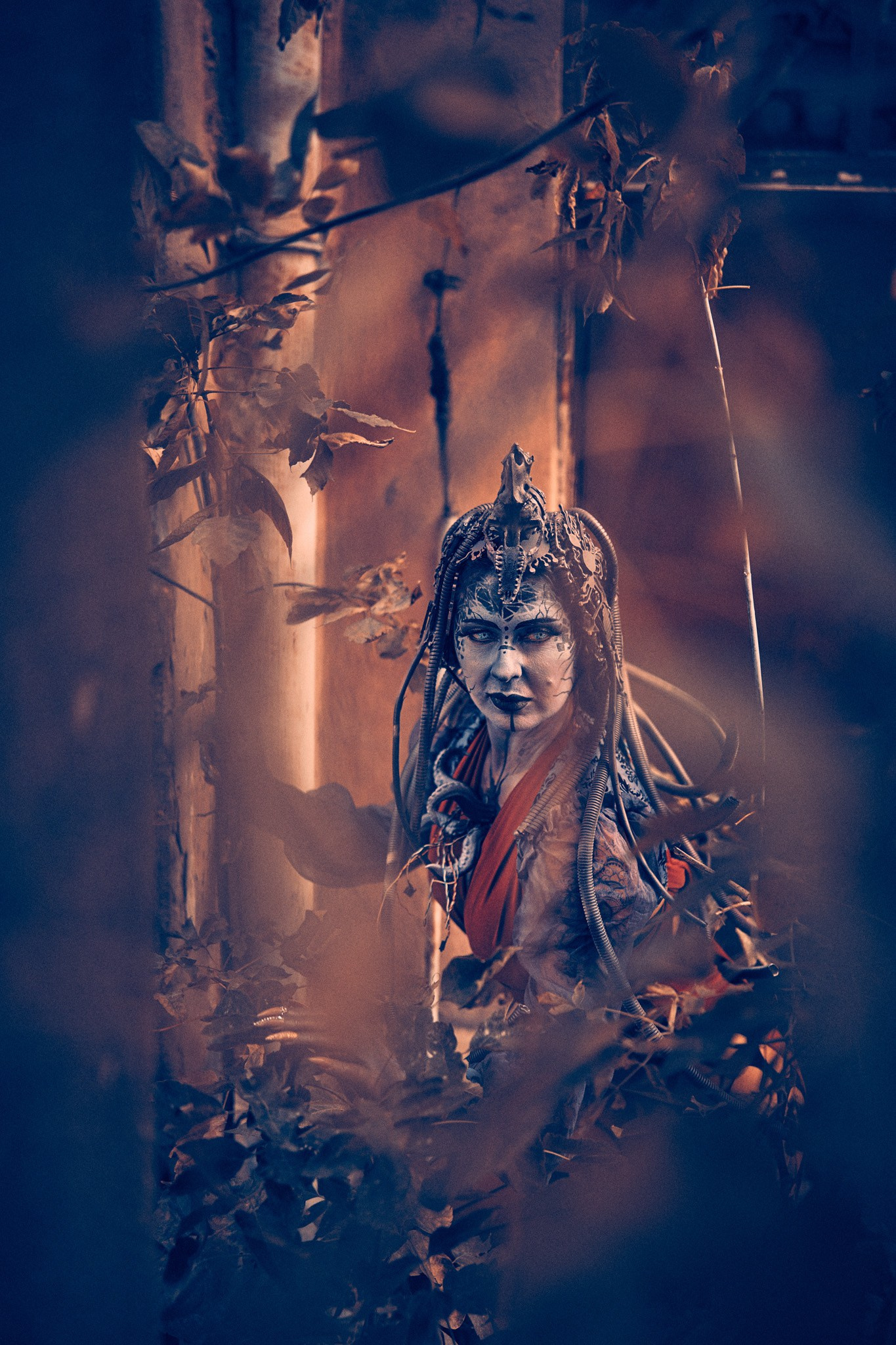 OctoDroid. Андрей Шипилов — Фотография & Видеография