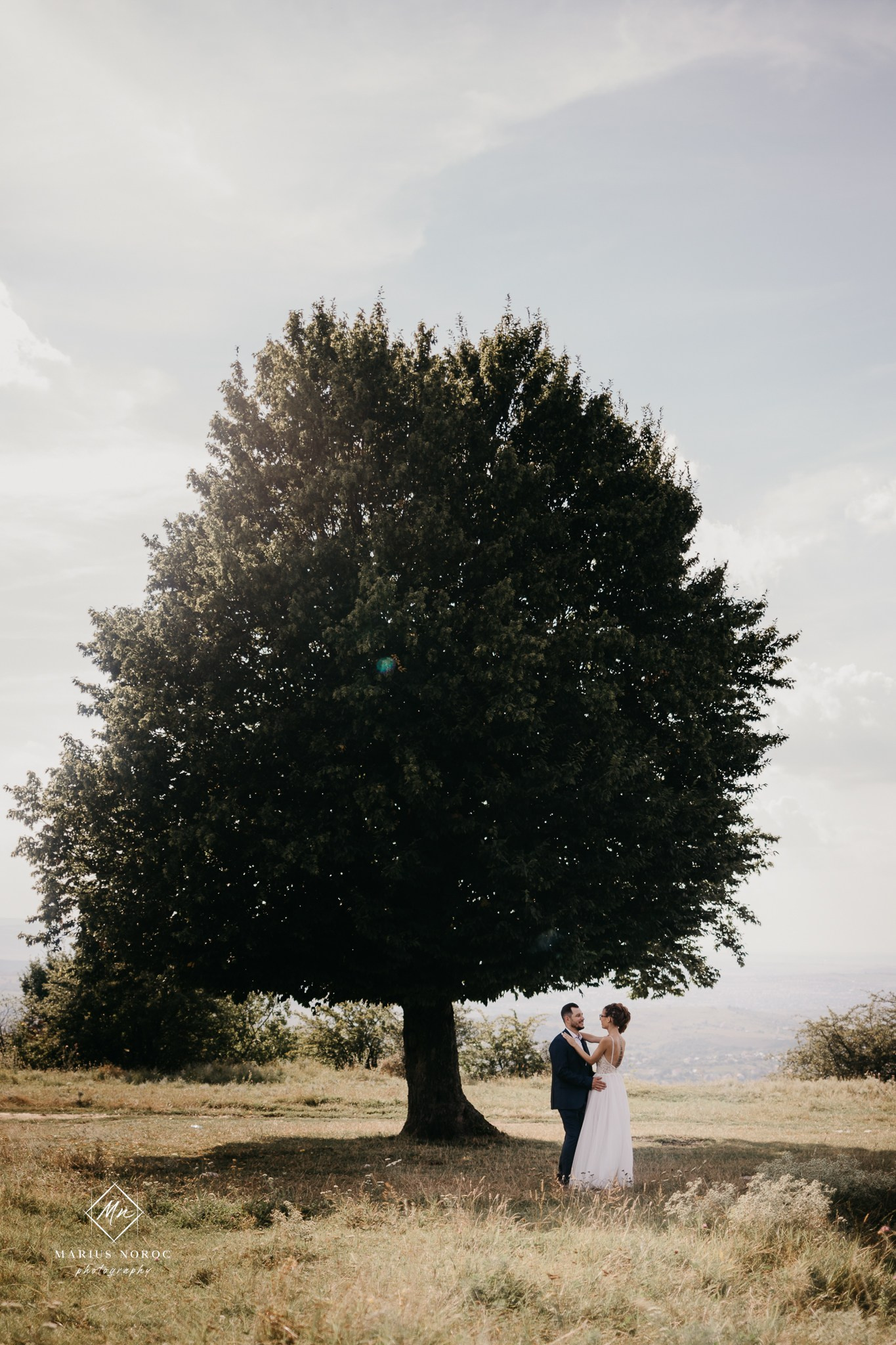 Elena & Mihai | Padurea Bucium Iasi
