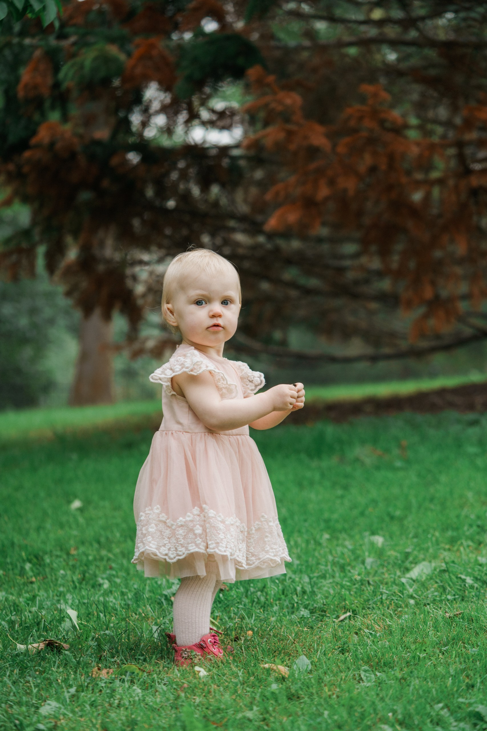 Perhekuvaus sumuisella säällä Tullisaaressa