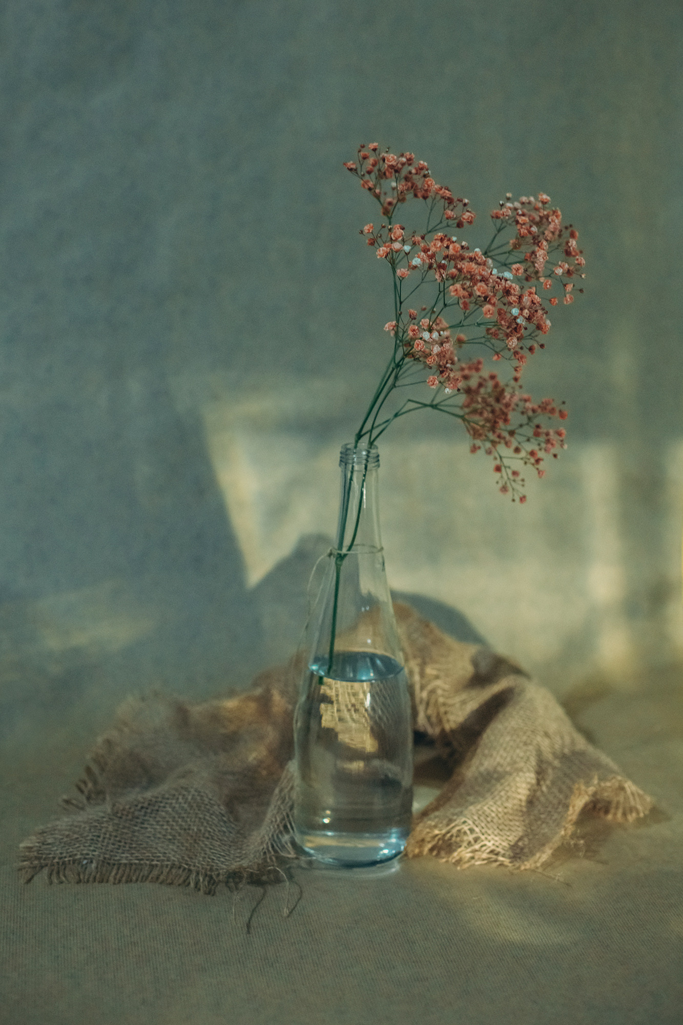 Sunshine. Lolly Shine. Contemporary digital artist