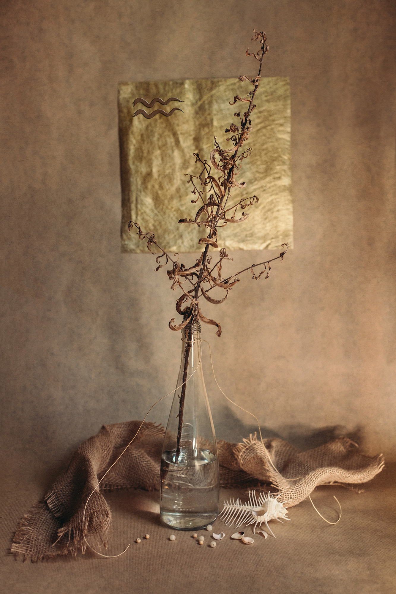 Personalized Still Lives. Lolly Shine. Contemporary digital artist