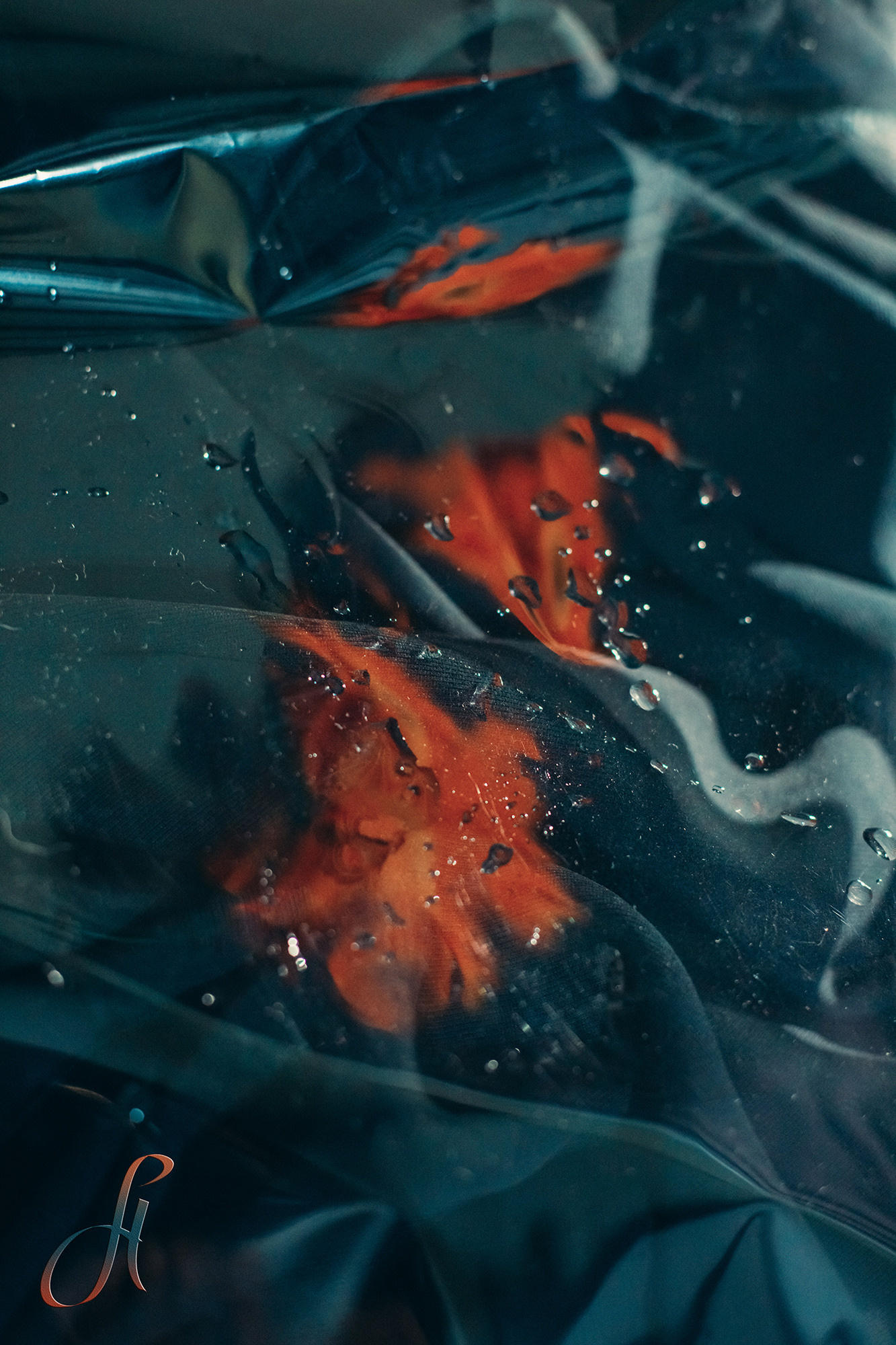 Personalized Still Lives. Lolly Shine. Contemporary digital artist