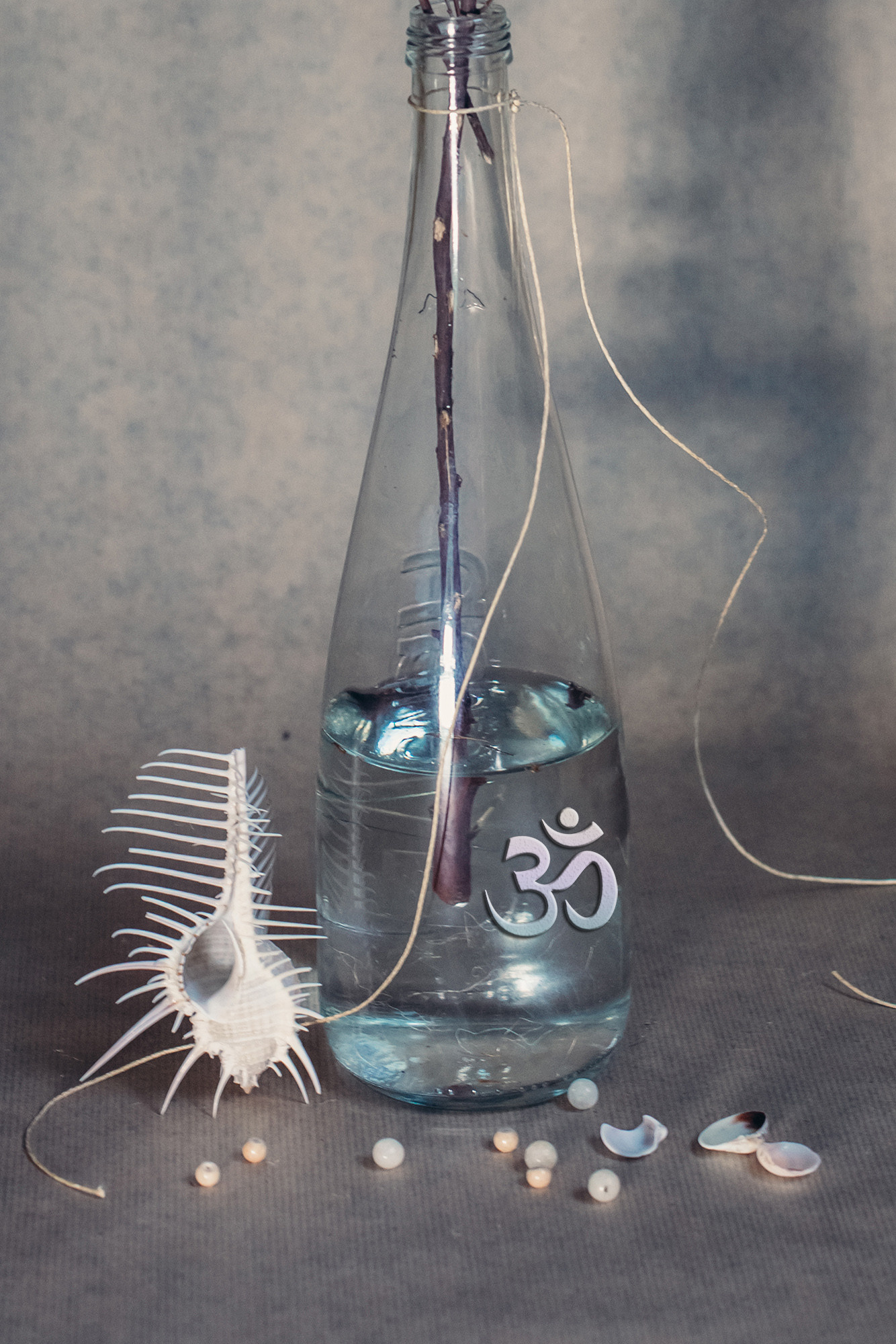 Personalized Still Lives. Lolly Shine. Contemporary digital artist