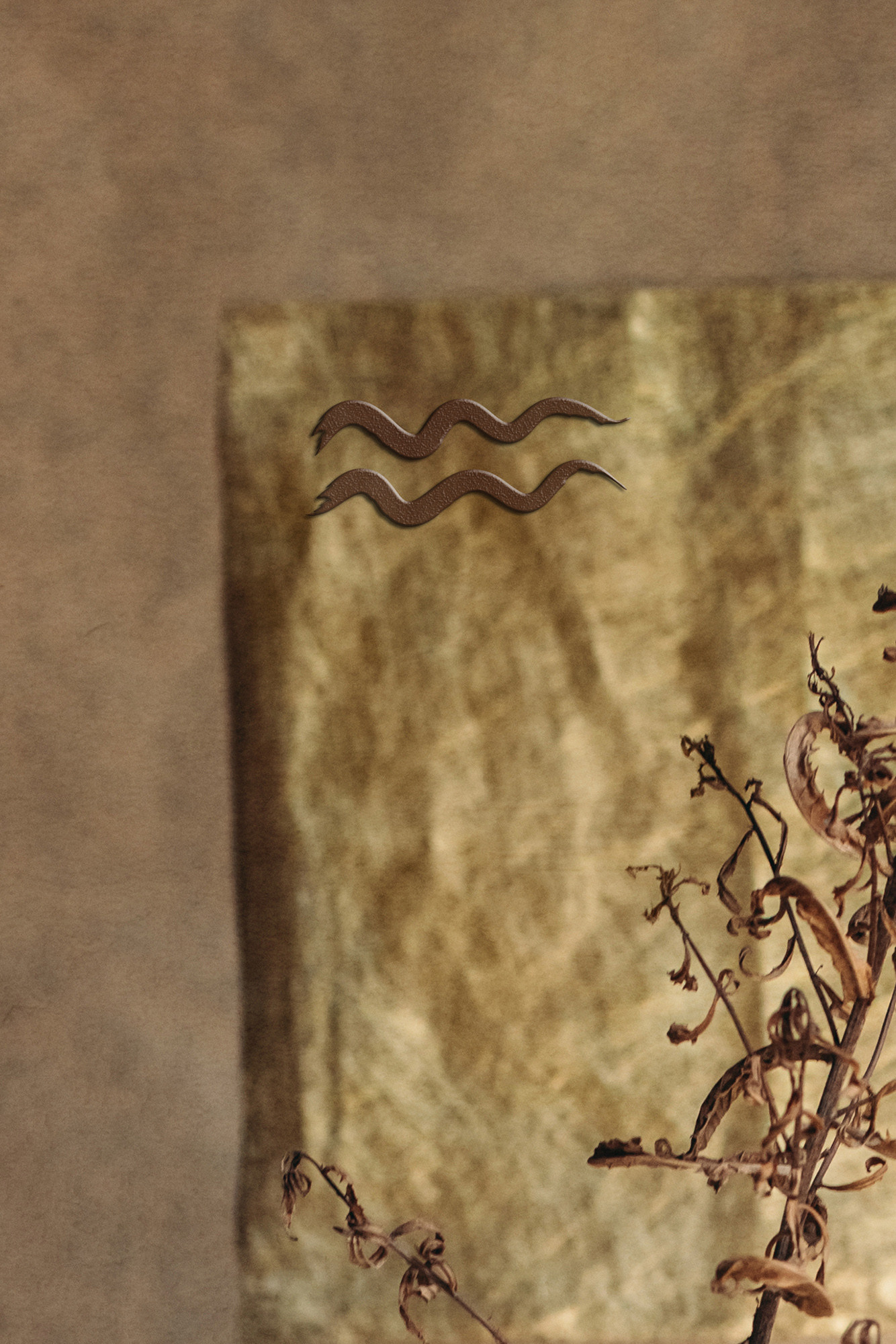 Personalized Still Lives. Lolly Shine. Contemporary digital artist