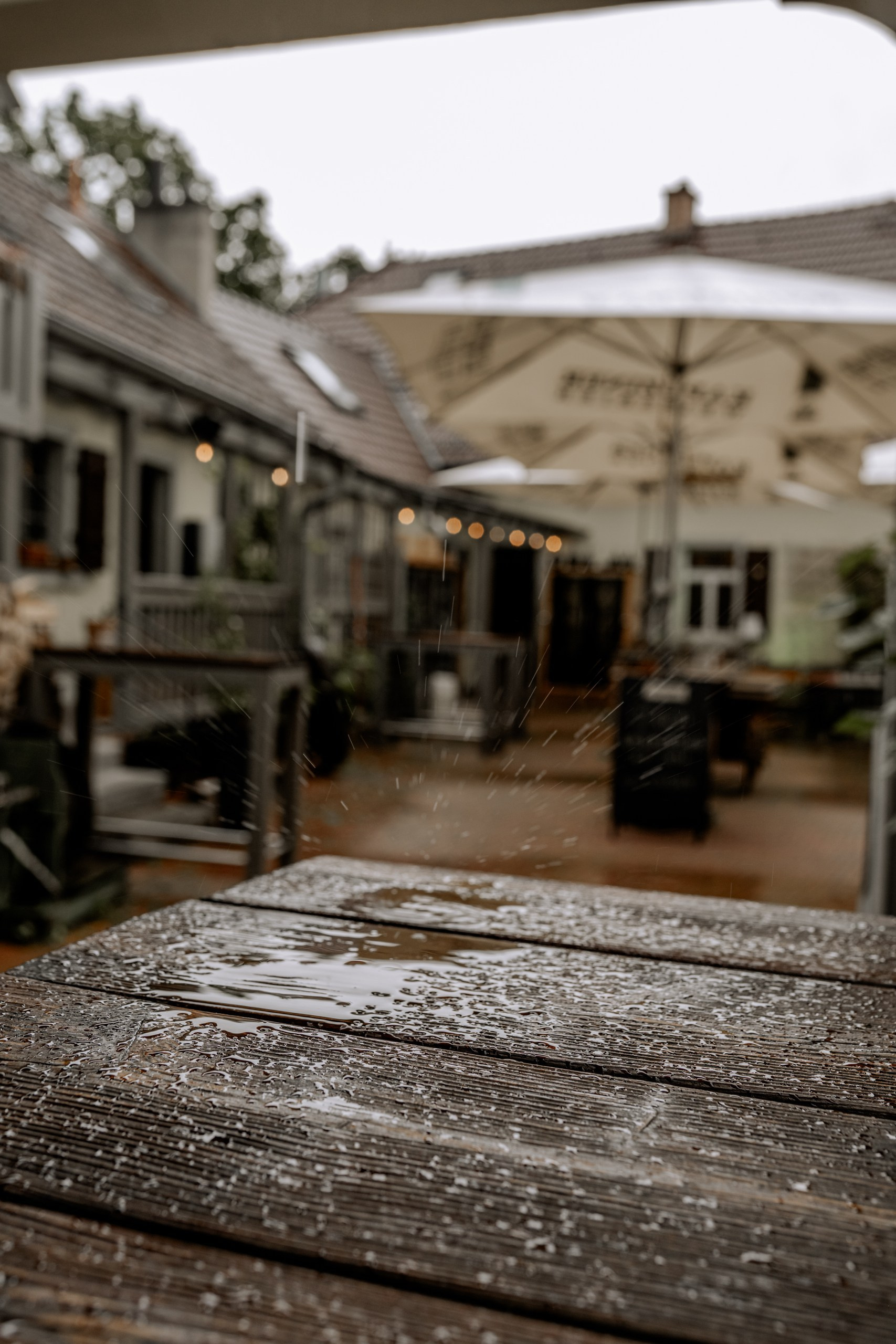 Chom & Kevin | Romantische Hochzeitsbilder in Würzburg – Hochzeitsfotografin Anna Saribekyan. Anna Saribekyan – Beste Hochzeitsfotografin in Würzburg, Top 10 in Deutschland