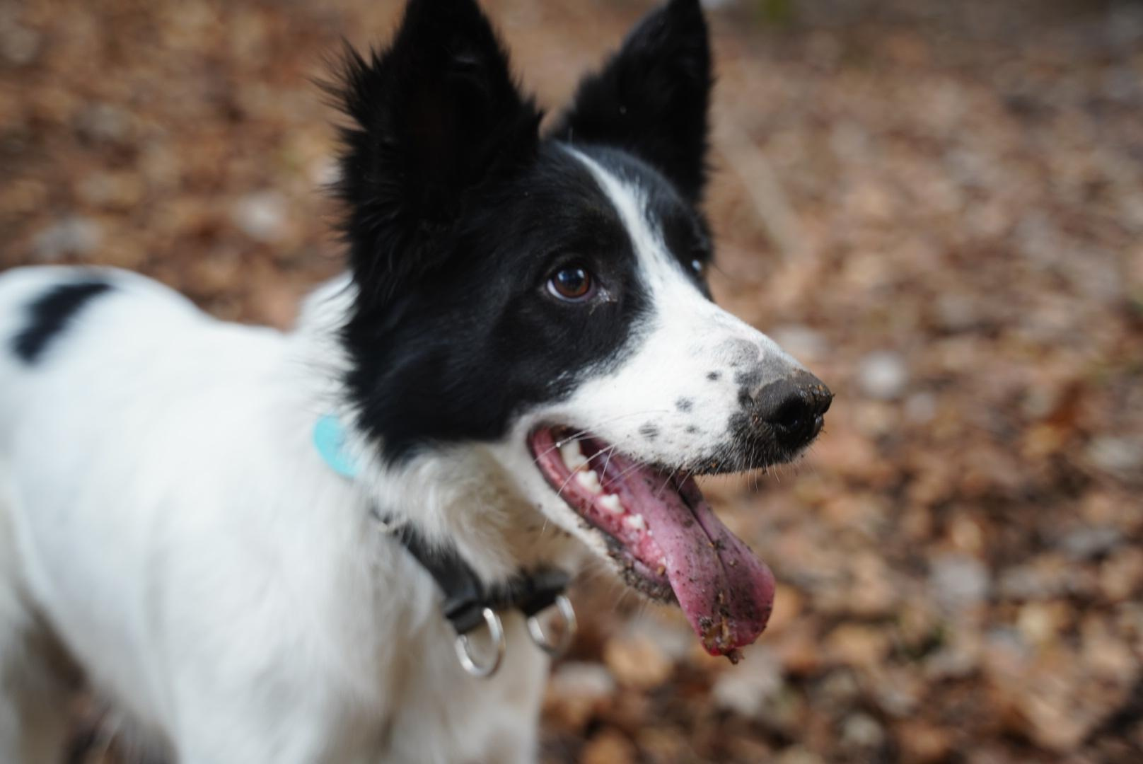 Семейный лагерь «Волшебники на каникулах». Семейные лагеря в Европе с Ниной Янечковой и Ириной Зиновьевой