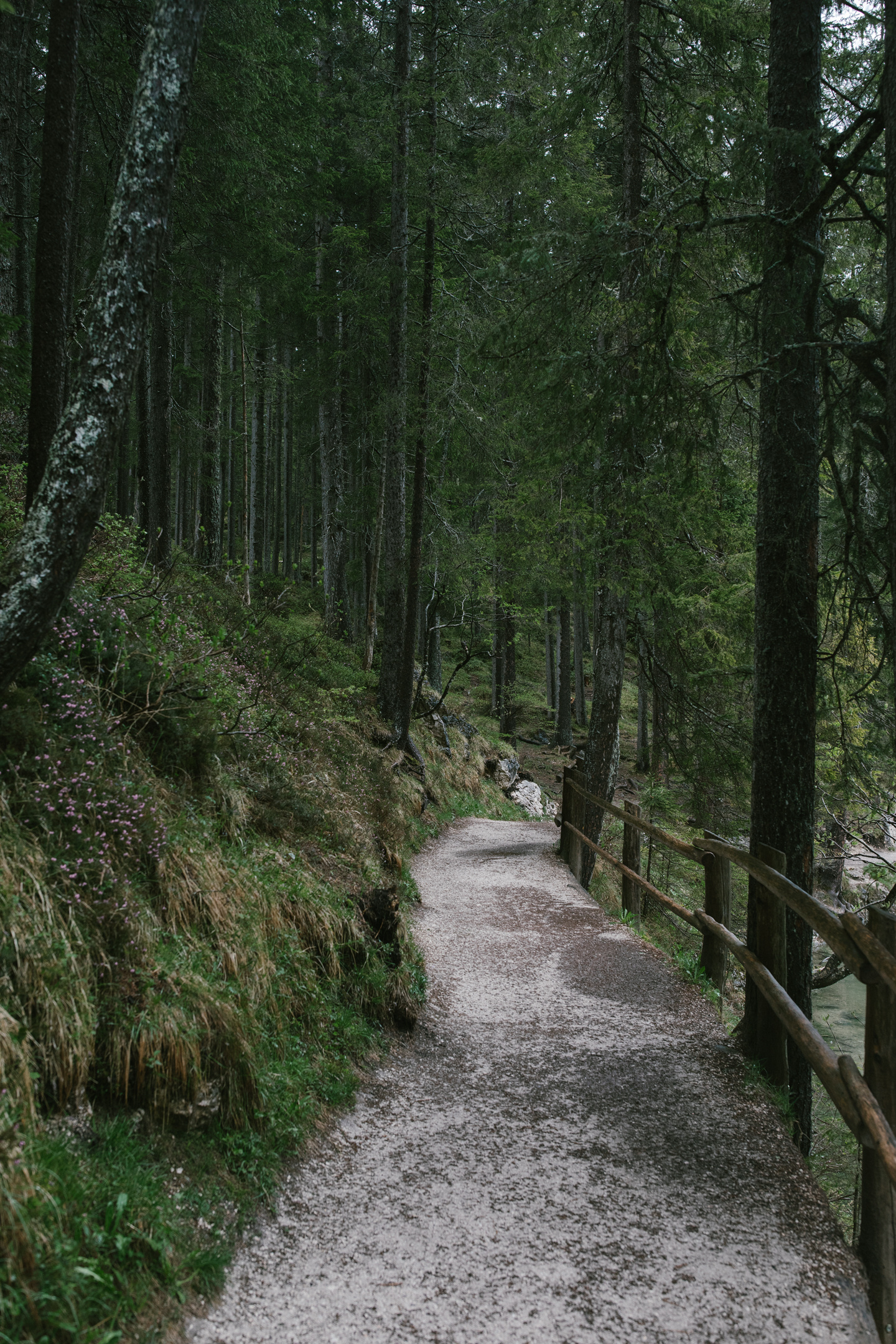 Hochzeitsfotografie Dolomiten | After Wedding Pragser Wildsee. Hochzeitsfotograf Bodensee & Allgäu | Liliana Berkut