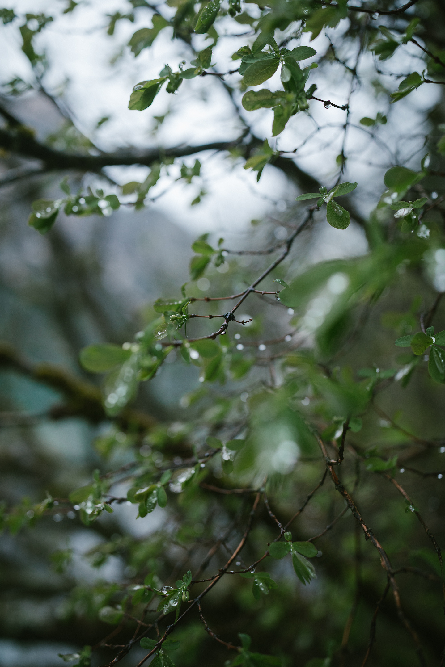 Hochzeitsfotografie Dolomiten | After Wedding Pragser Wildsee. Hochzeitsfotograf Bodensee & Allgäu | Liliana Berkut