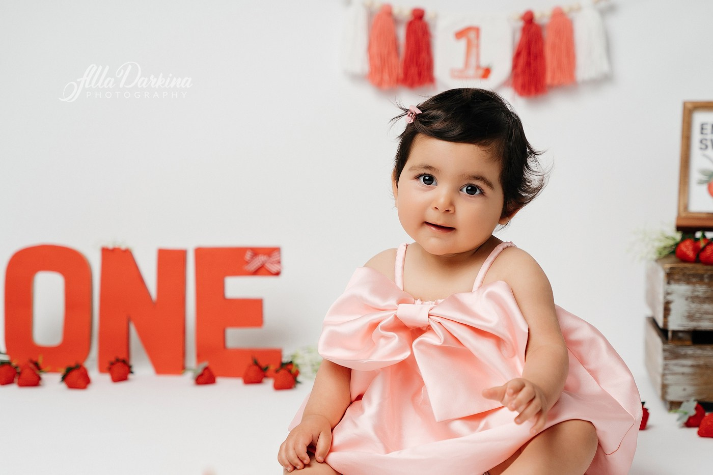 Cake smash session price guide. Newborn and family photographer. Hills District. Sydney