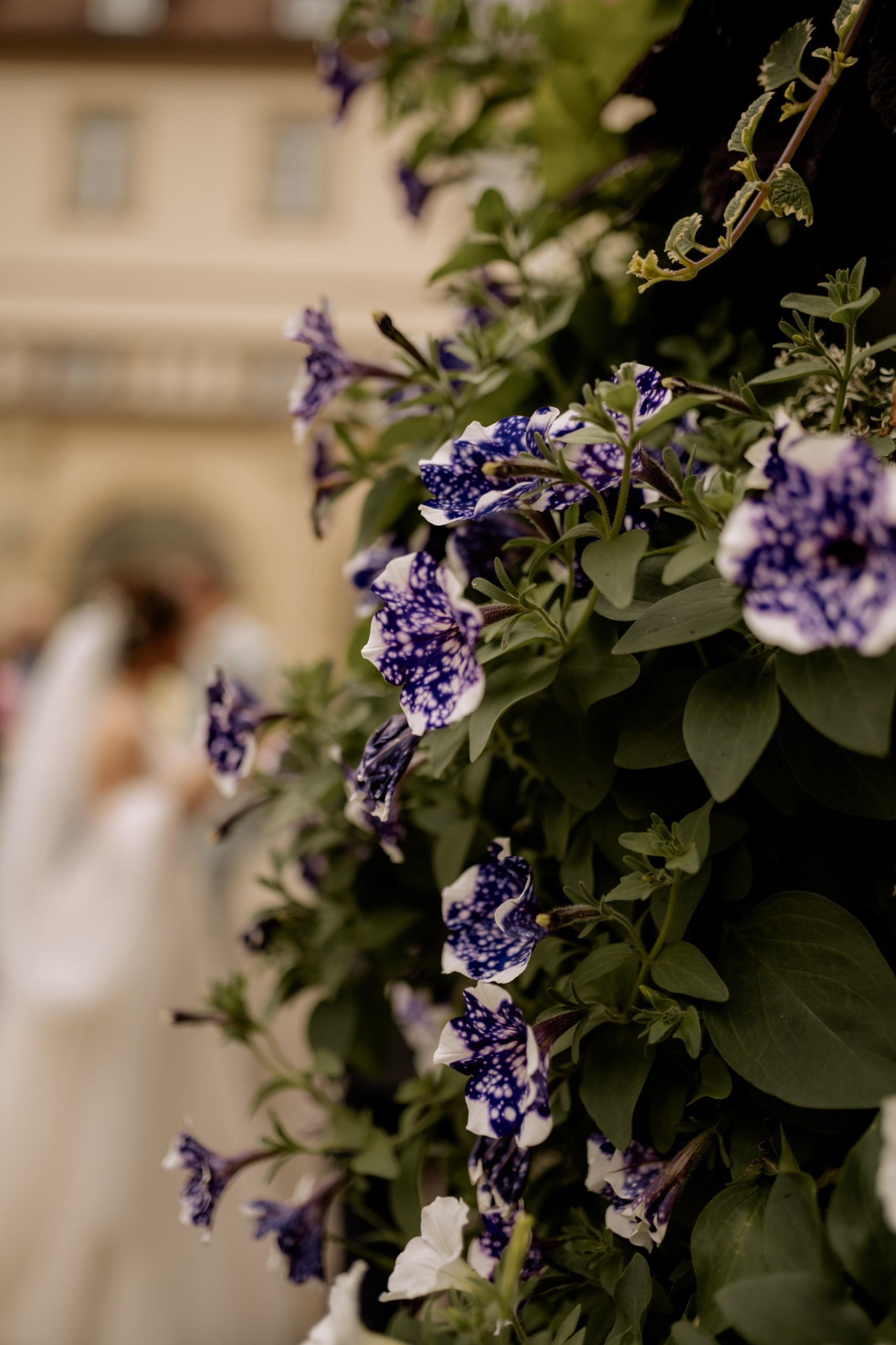 Chom & Kevin | Romantische Hochzeitsbilder in Würzburg – Hochzeitsfotografin Anna Saribekyan. Anna Saribekyan – Beste Hochzeitsfotografin in Würzburg, Top 10 in Deutschland