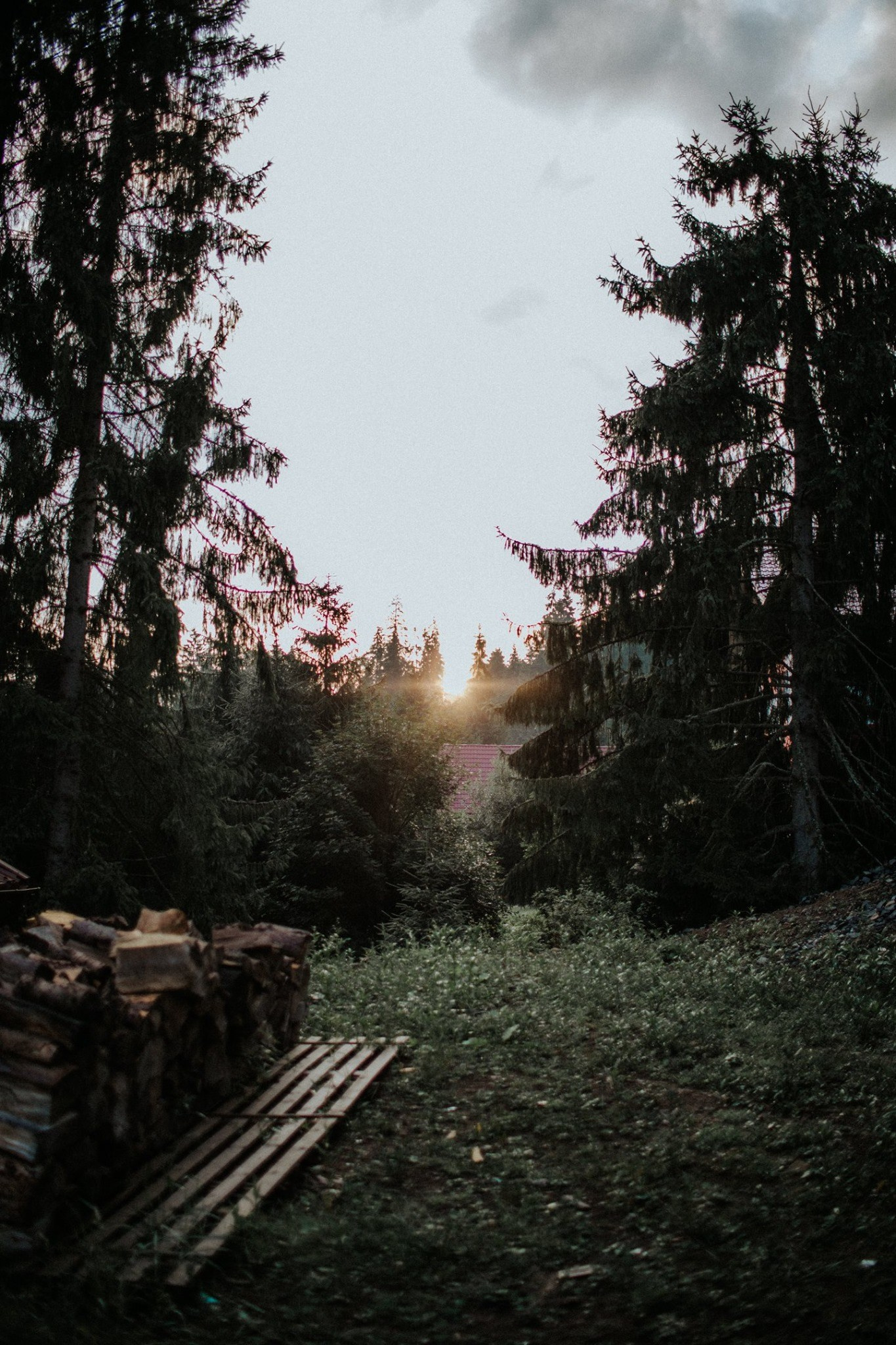 Alex & Andreea. Emotions Photo Art