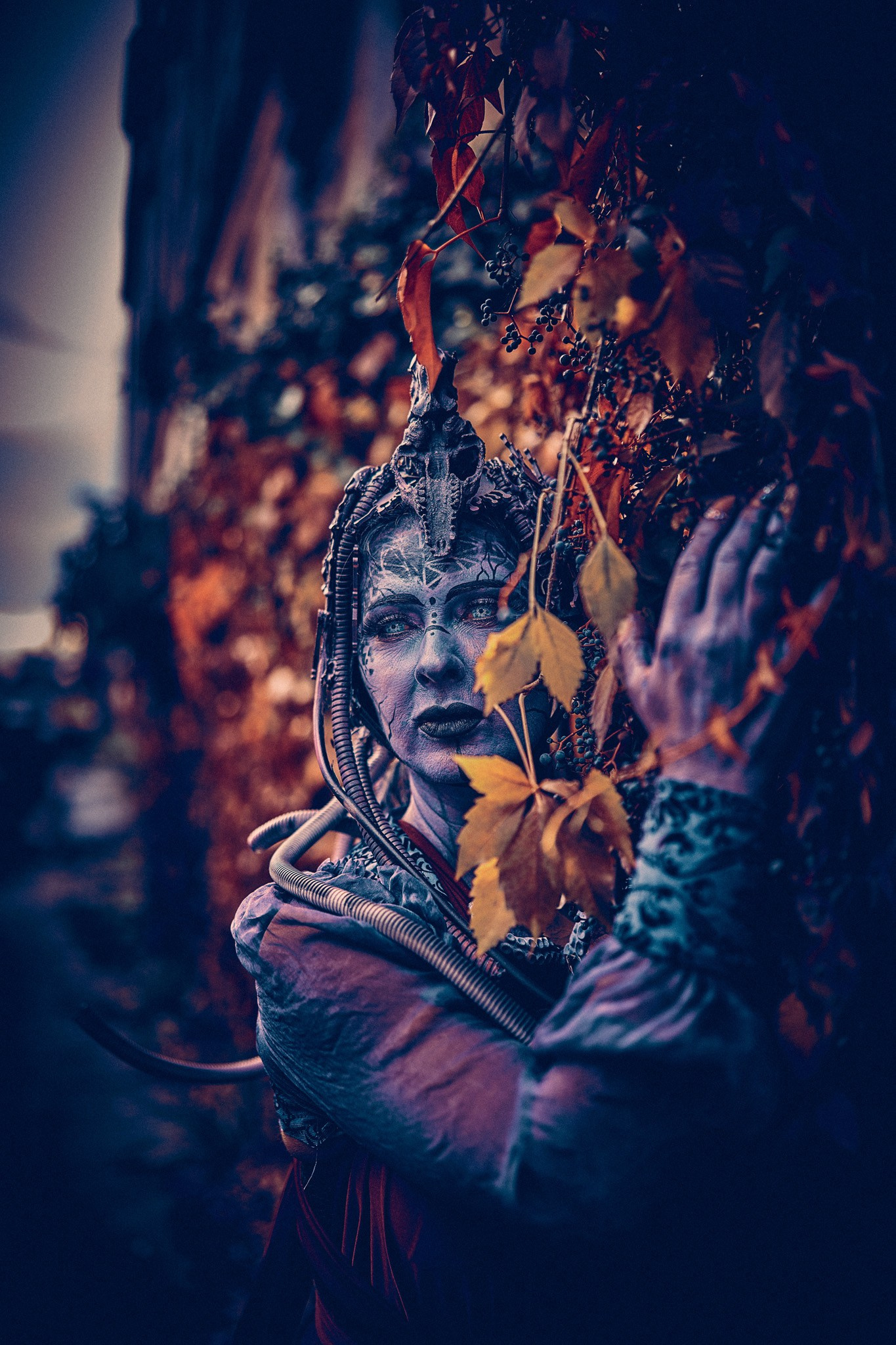 OctoDroid. Андрей Шипилов — Фотография & Видеография