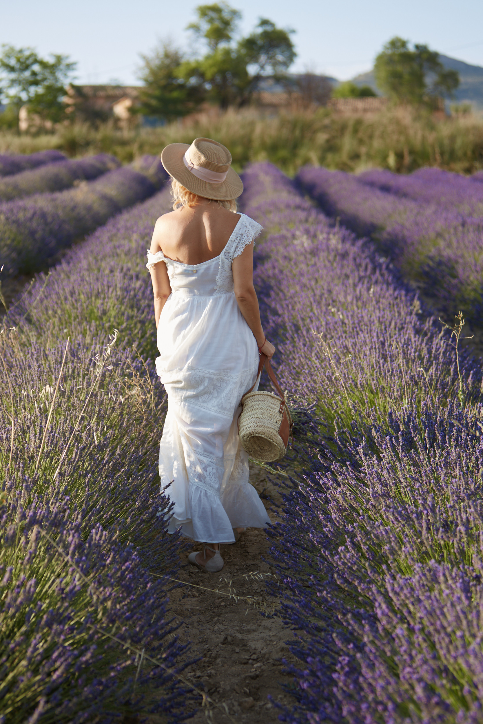 Lavanda. NATALYA FOTOS FOTOGRAFO ALTEA - ALICANTE Семейный фотограф в Аликанте
