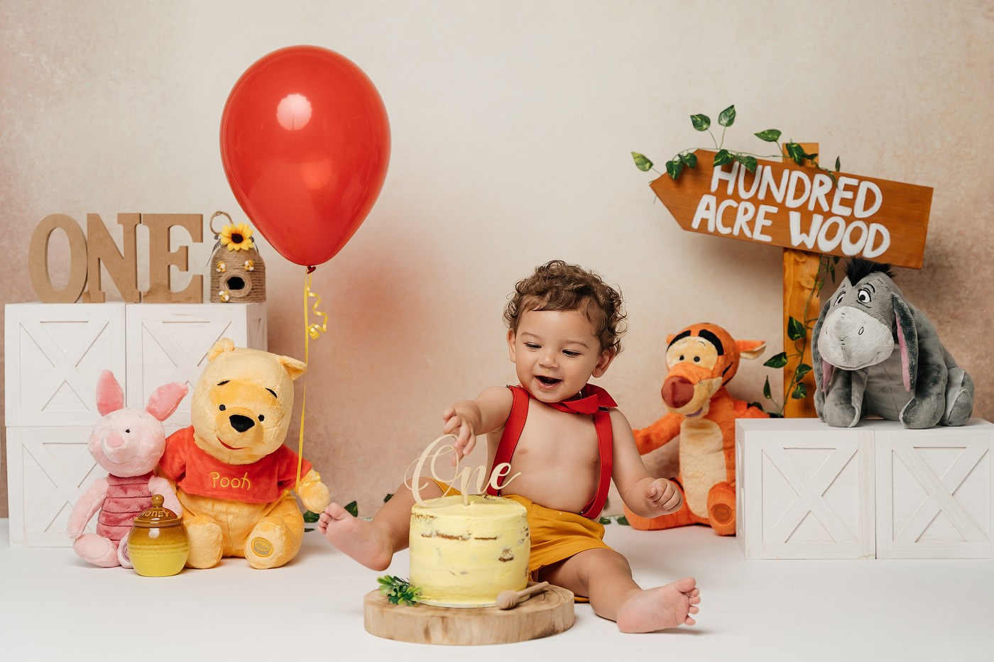 Cake smash session price guide. Newborn and family photographer. Hills District. Sydney