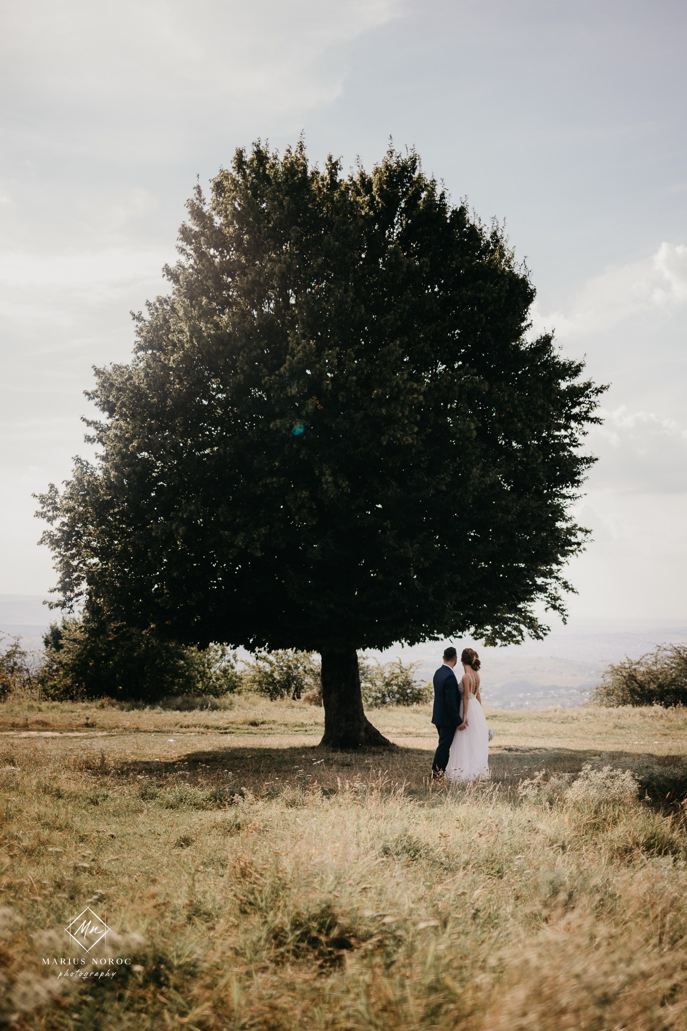 Elena & Mihai | Padurea Bucium Iasi