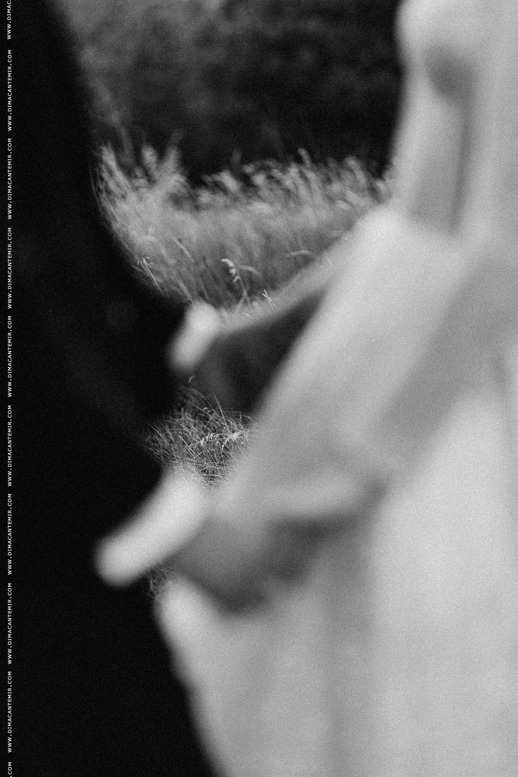 Fotograf de nuntă în Chisinau, Moldova. Poze și Video Comerciale