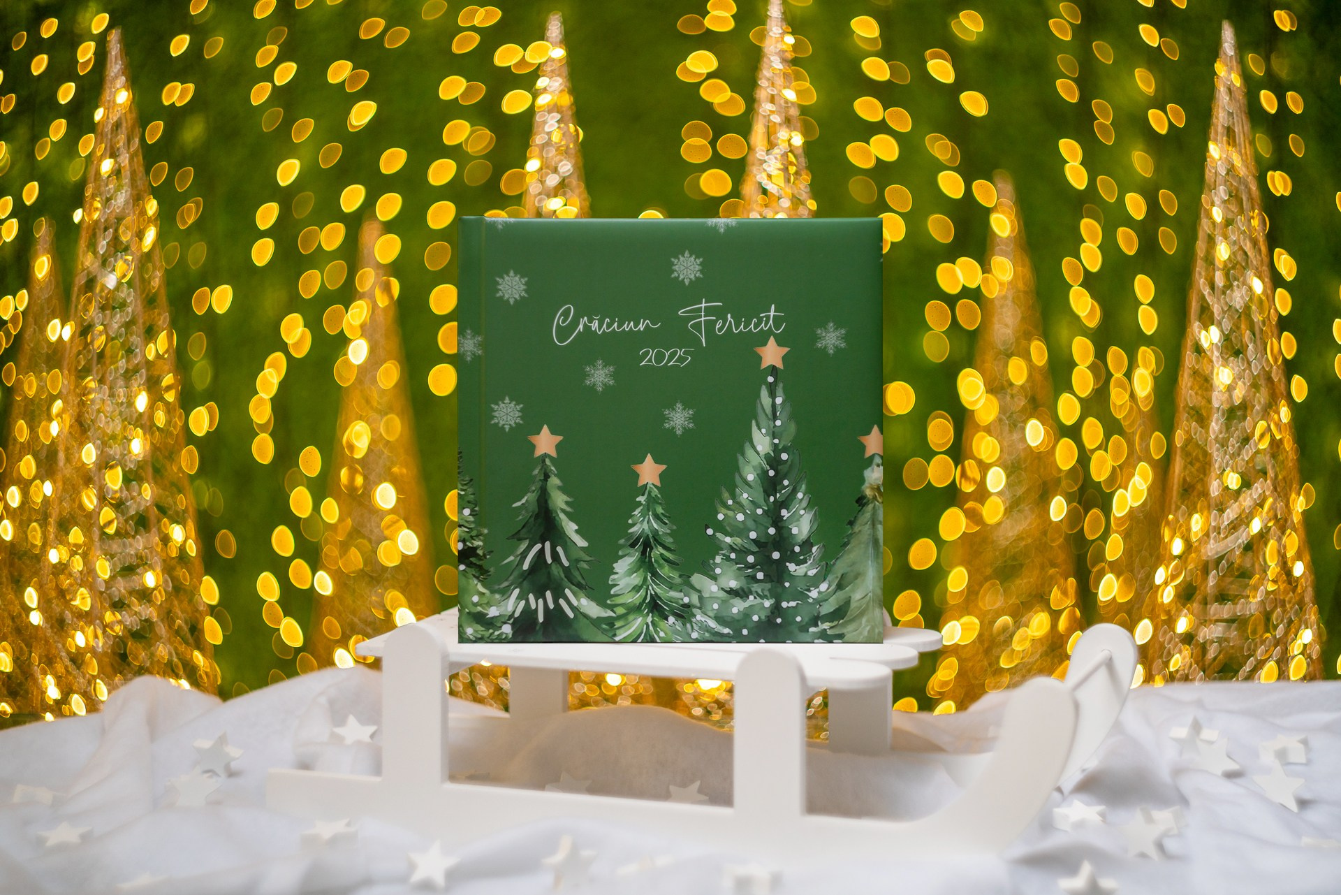 Sedinte foto Craciun Bucuresti