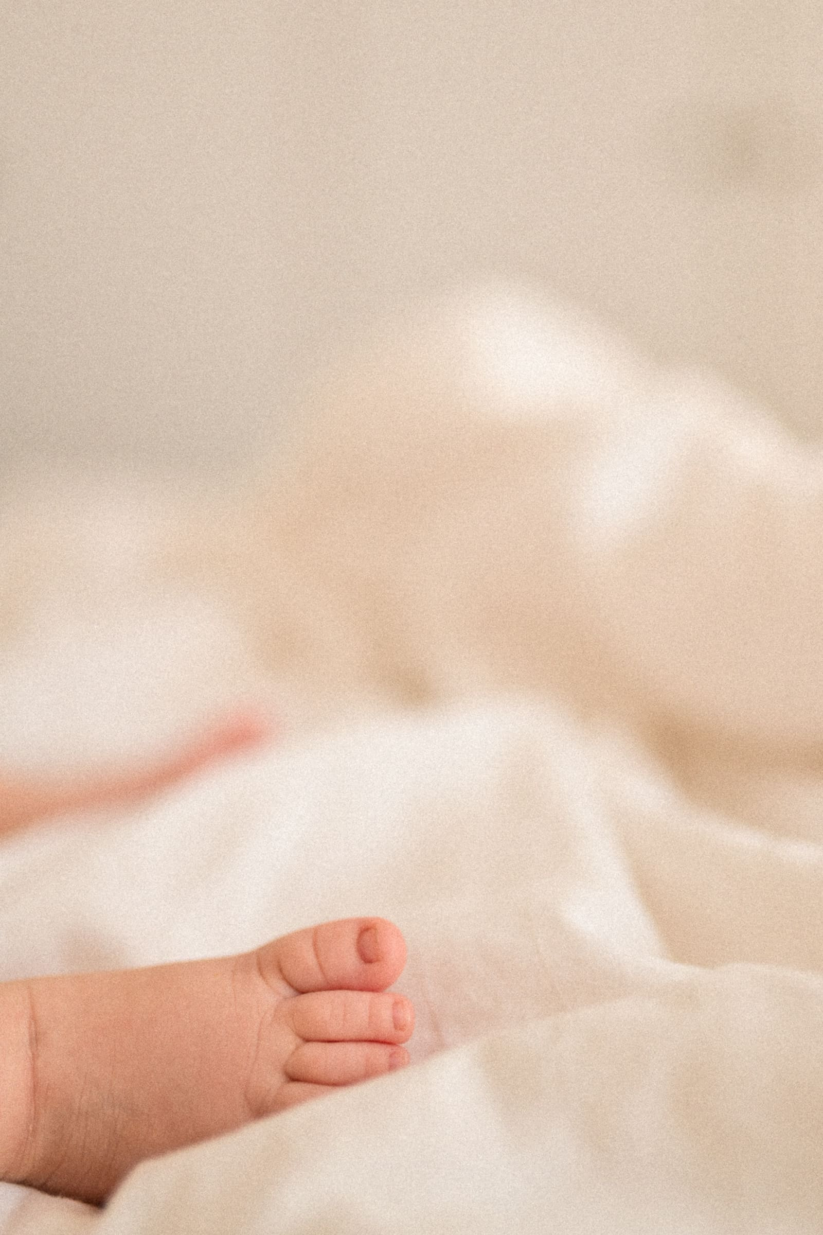 Familien Fotoshooting. Свадебный и семейный фотограф в Гамбурге Екатерина Поминова