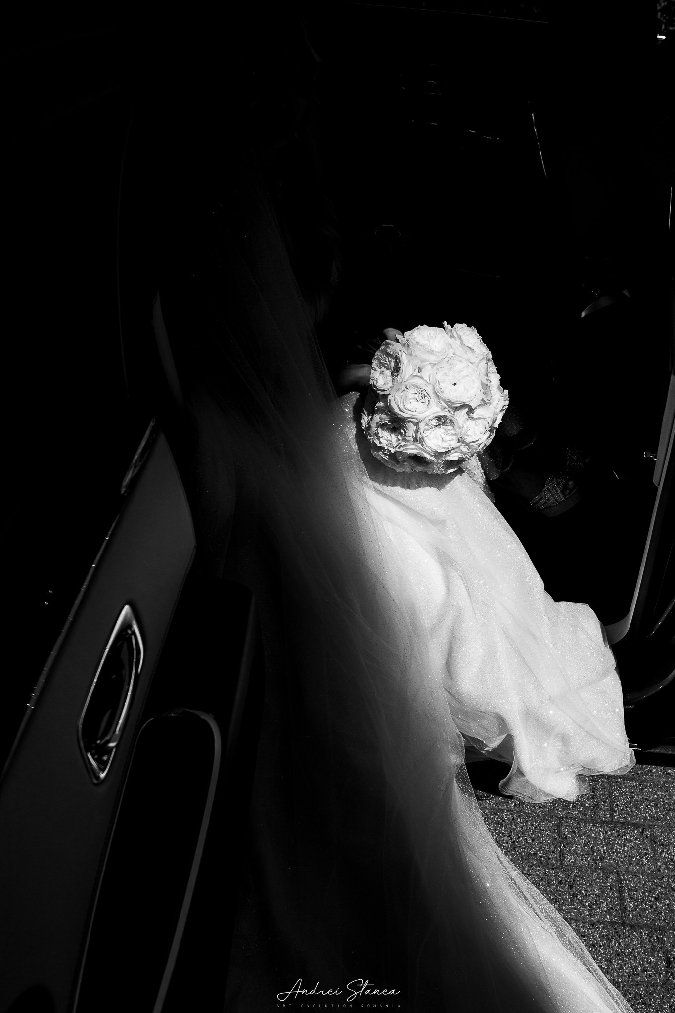 Claudia & Mircea. Andrei Stanea