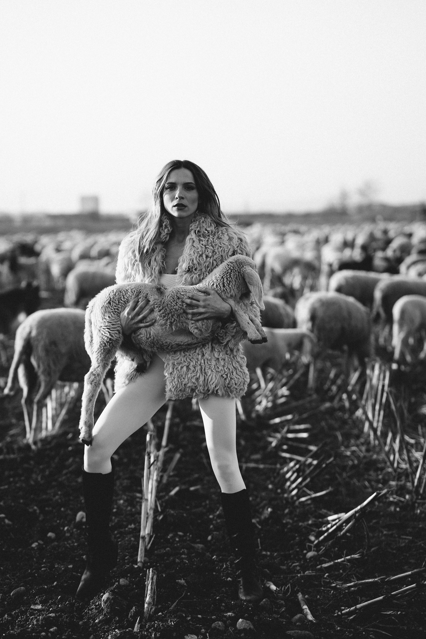 A thousand sheeps. Diana Fedrigo | Fotografa matrimoni in Italia