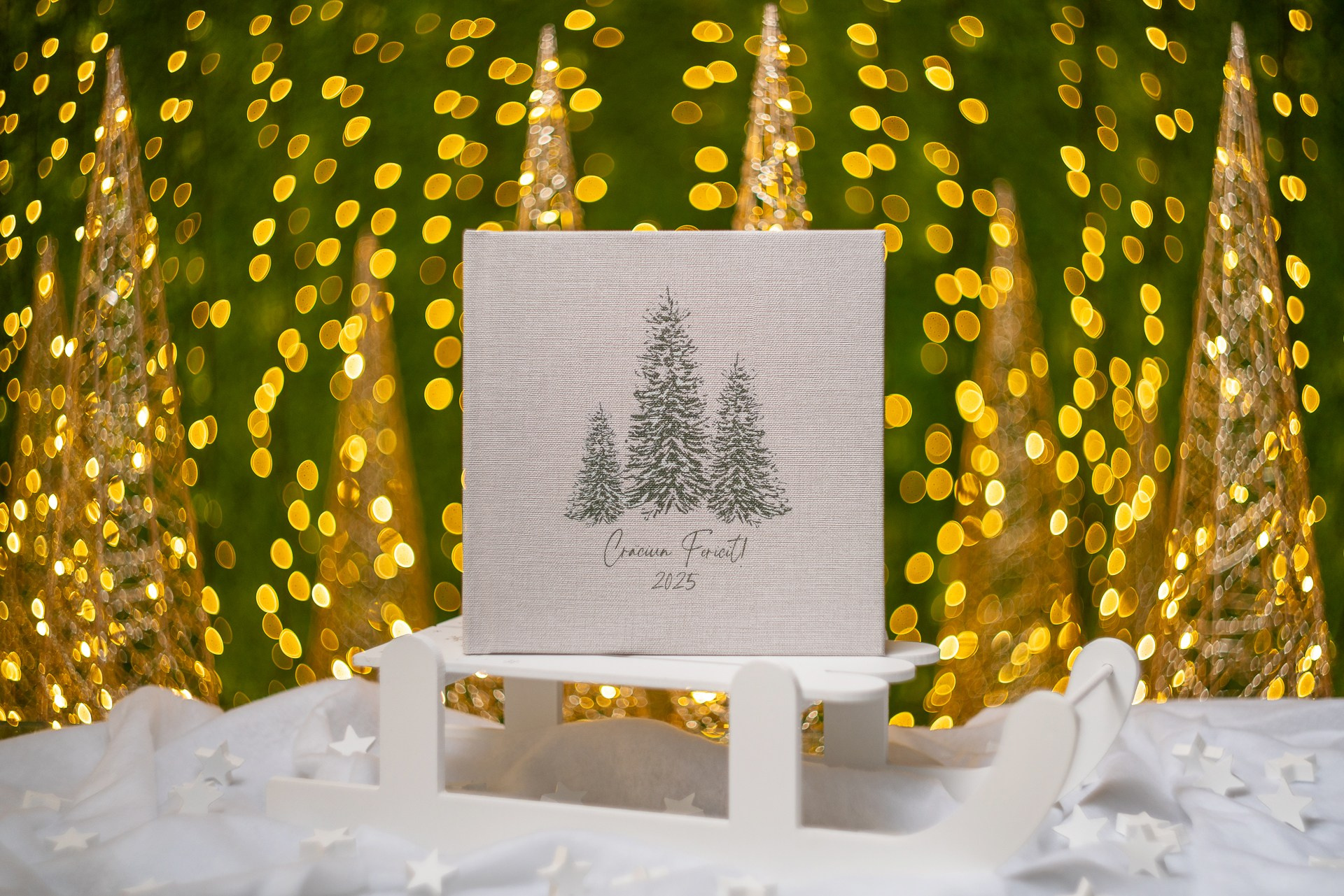 Sedinte foto Craciun Bucuresti