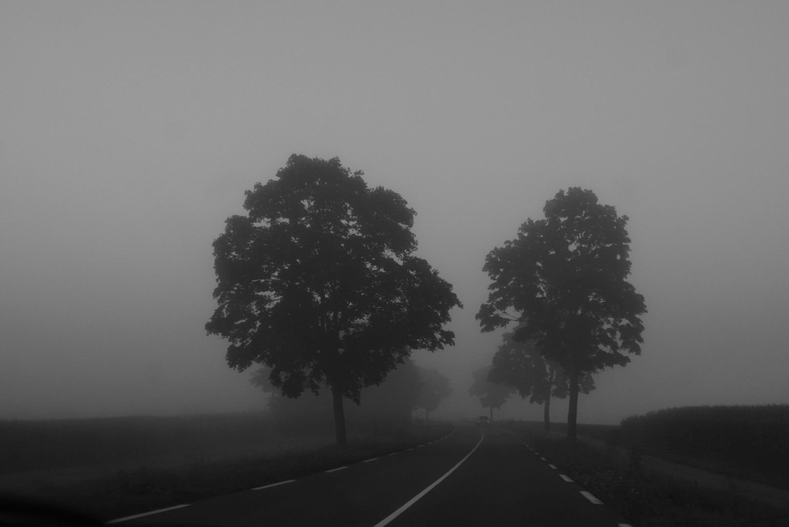 Chloé Heller — Fine Art / Documentary Photography
