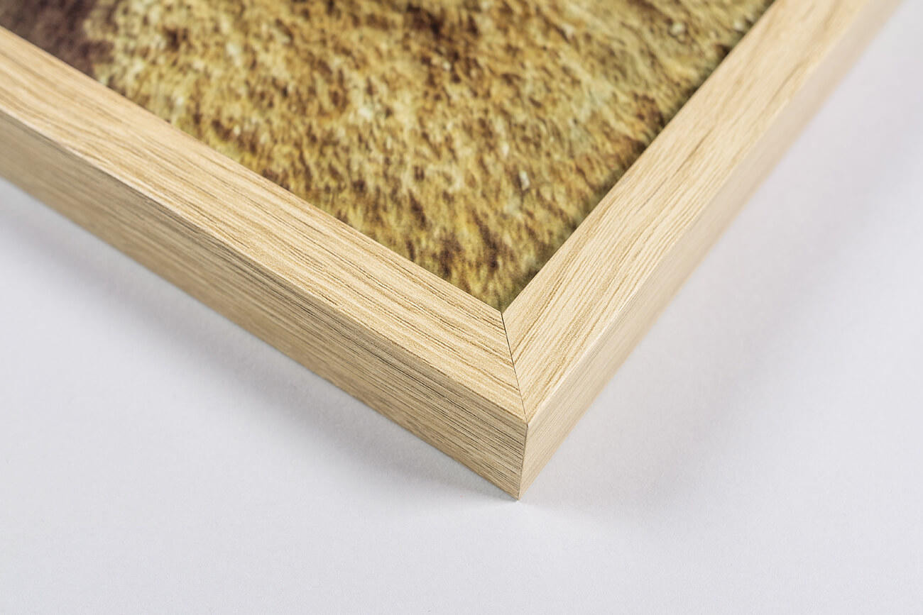 Foto in lijst hout kleur