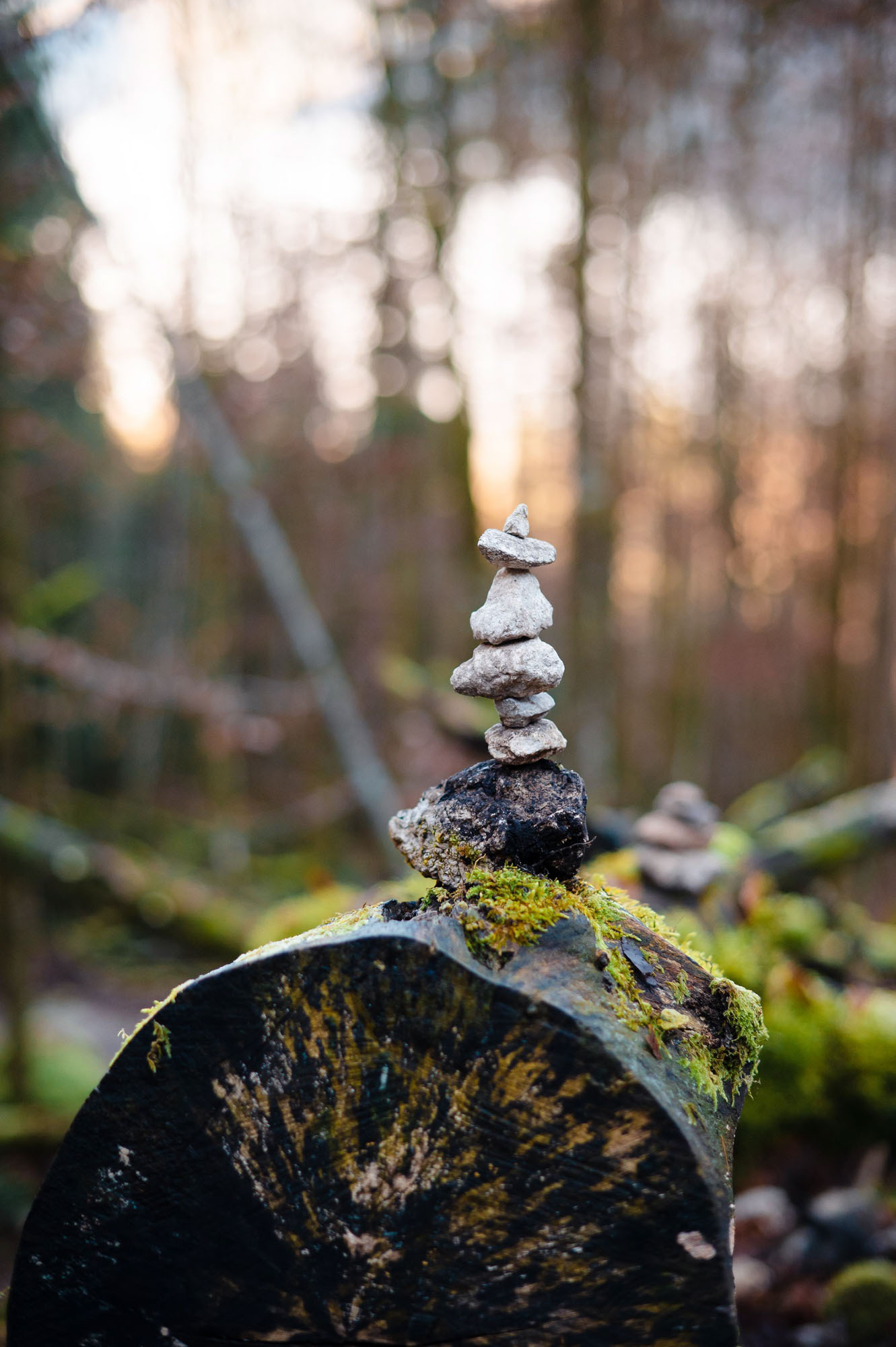Eiskapelle Watzmann & Königssee | Abenteuer vor Österreichs Quarantäne
