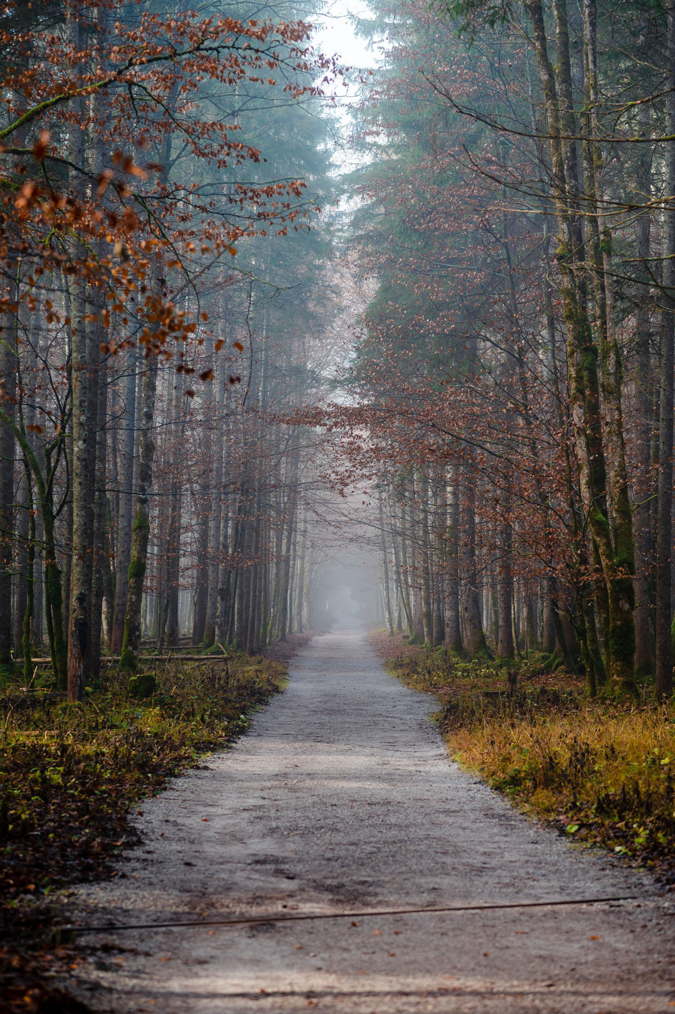 Eiskapelle Watzmann & Königssee | Abenteuer vor Österreichs Quarantäne