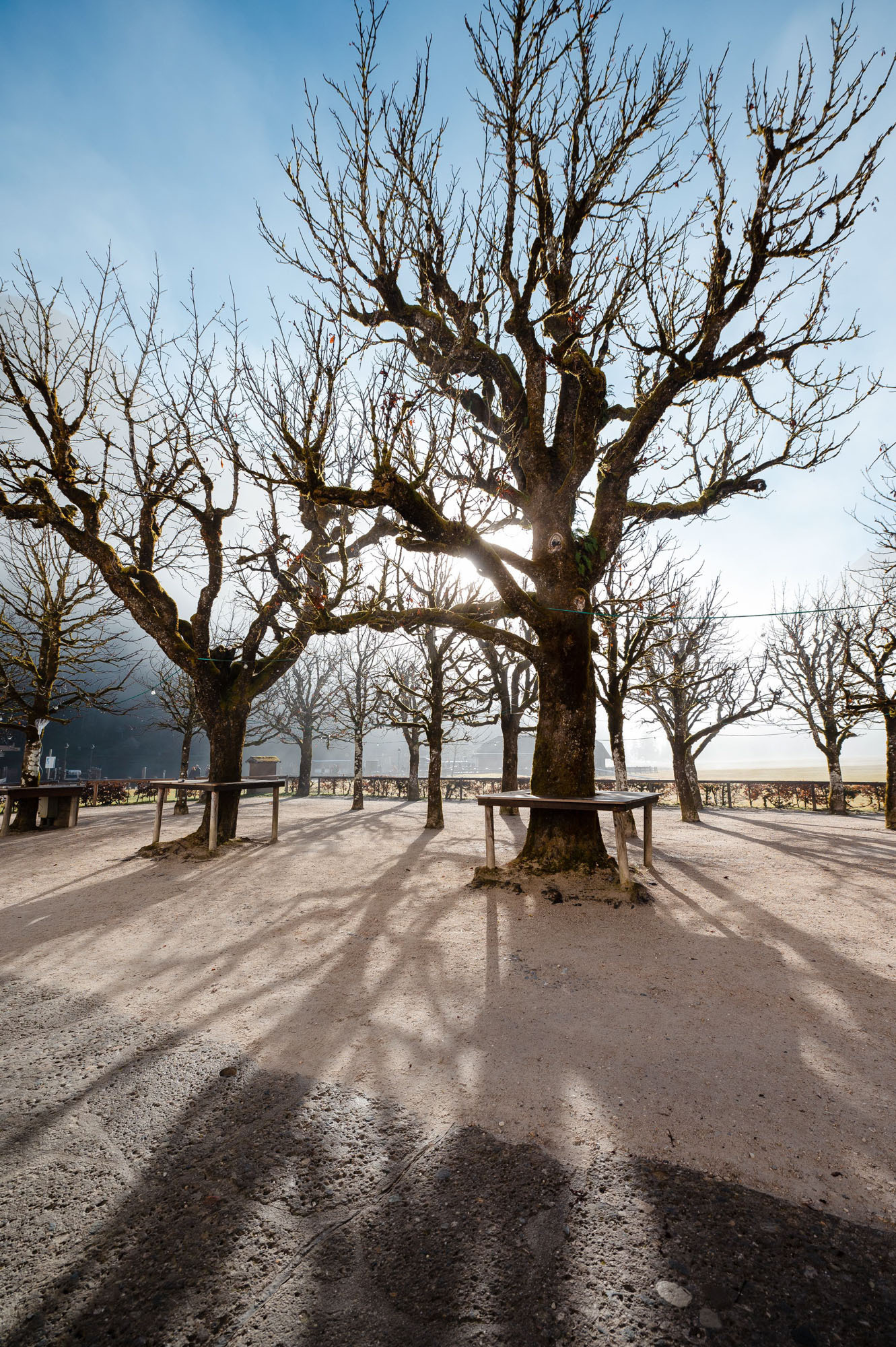Eiskapelle Watzmann & Königssee | Abenteuer vor Österreichs Quarantäne