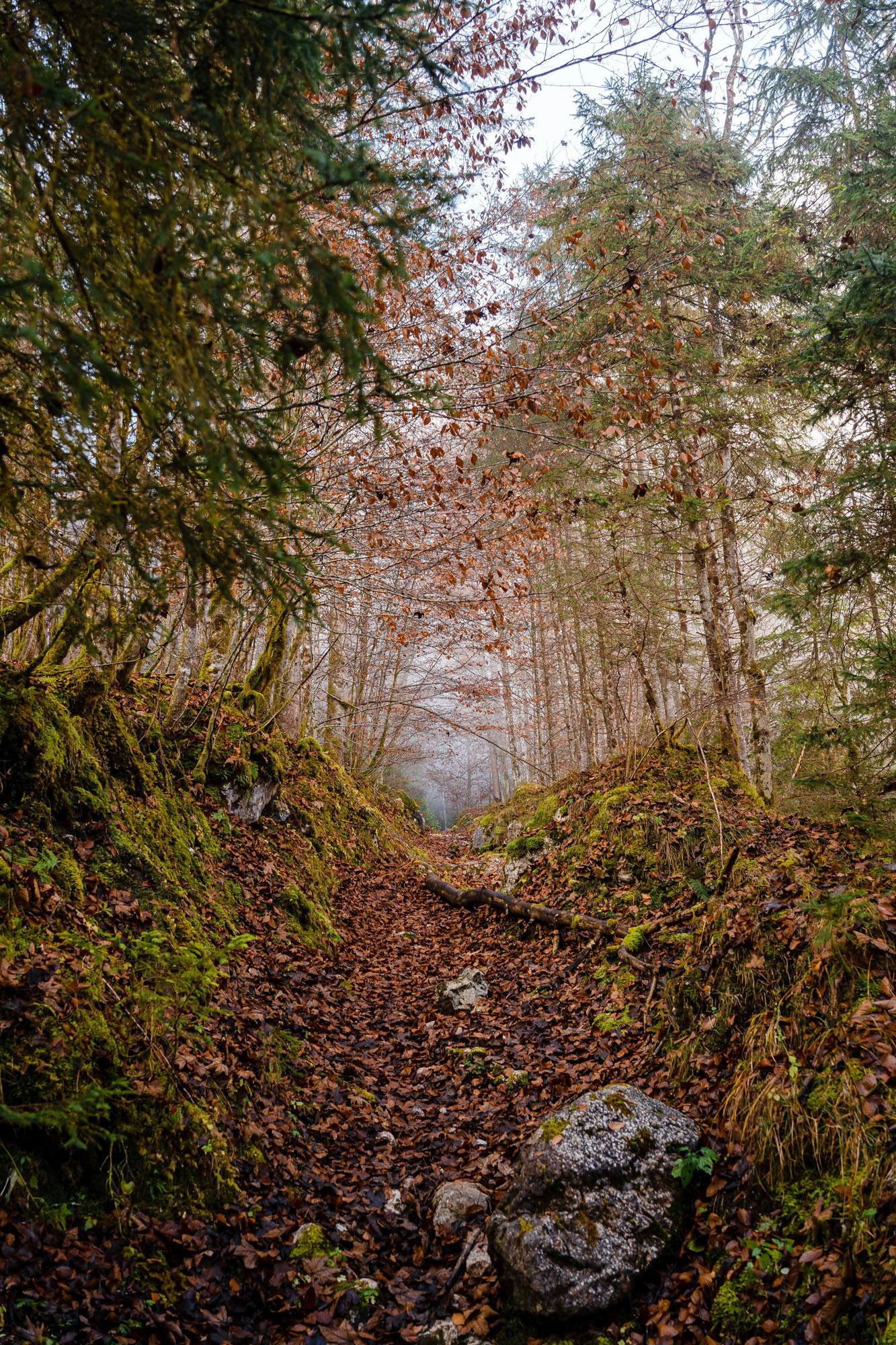 Eiskapelle Watzmann & Königssee | Abenteuer vor Österreichs Quarantäne