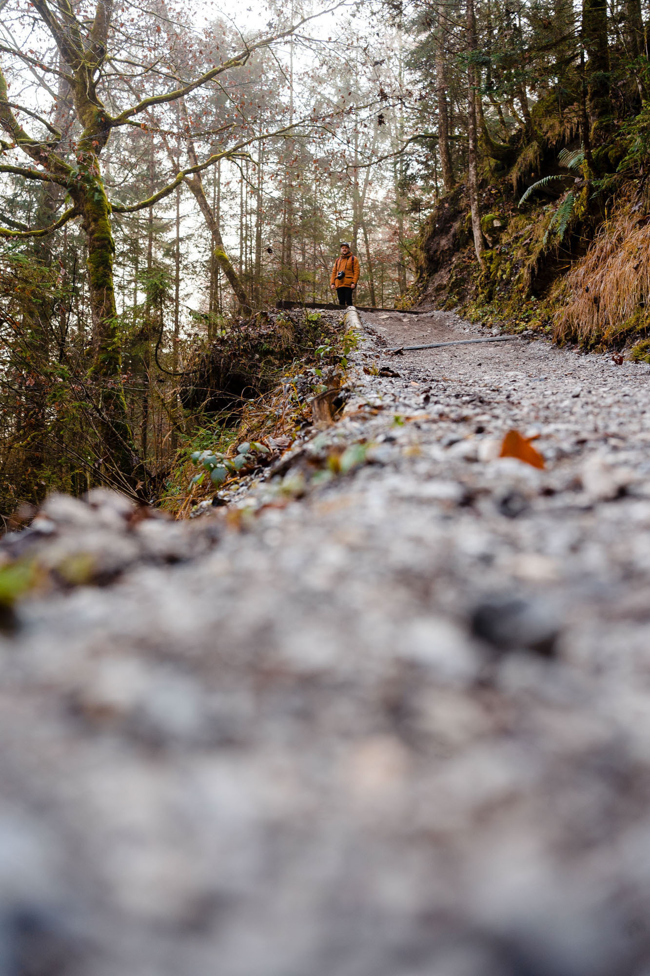 Eiskapelle Watzmann & Königssee | Abenteuer vor Österreichs Quarantäne