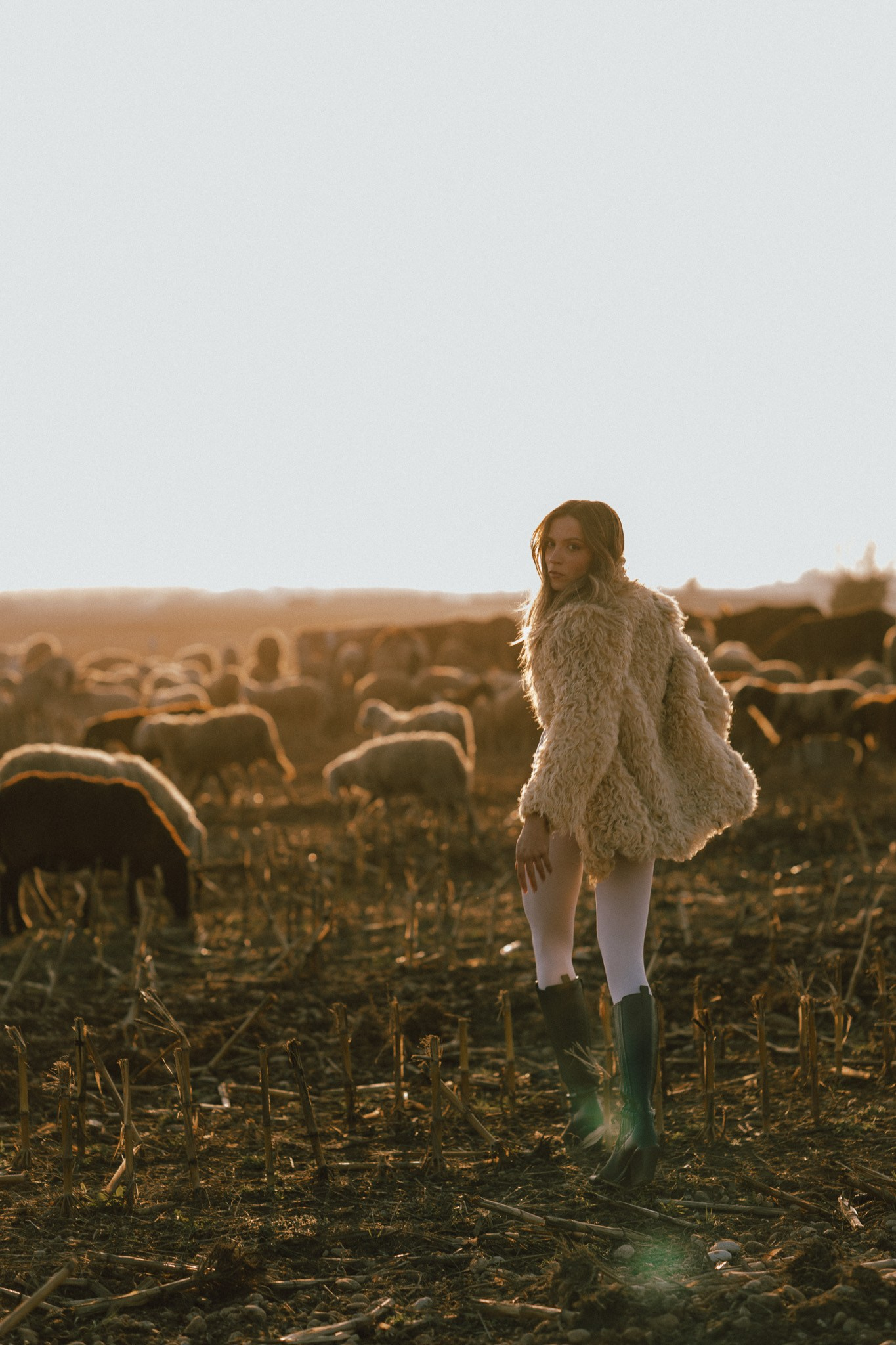 A thousand sheeps. Diana Fedrigo | Fotografa matrimoni in Italia