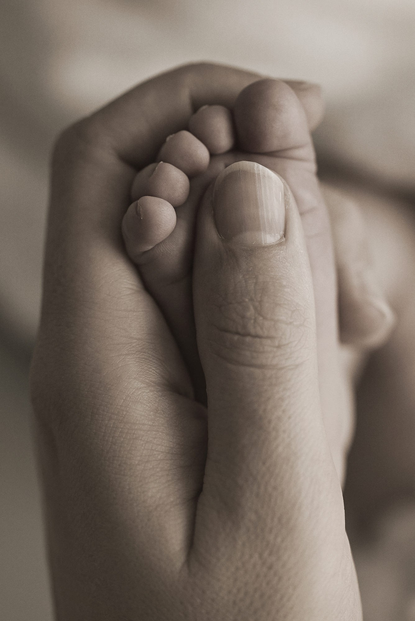 Fotógrafos en Tenerife dedicados a la fotografía de bebes, niños y familia