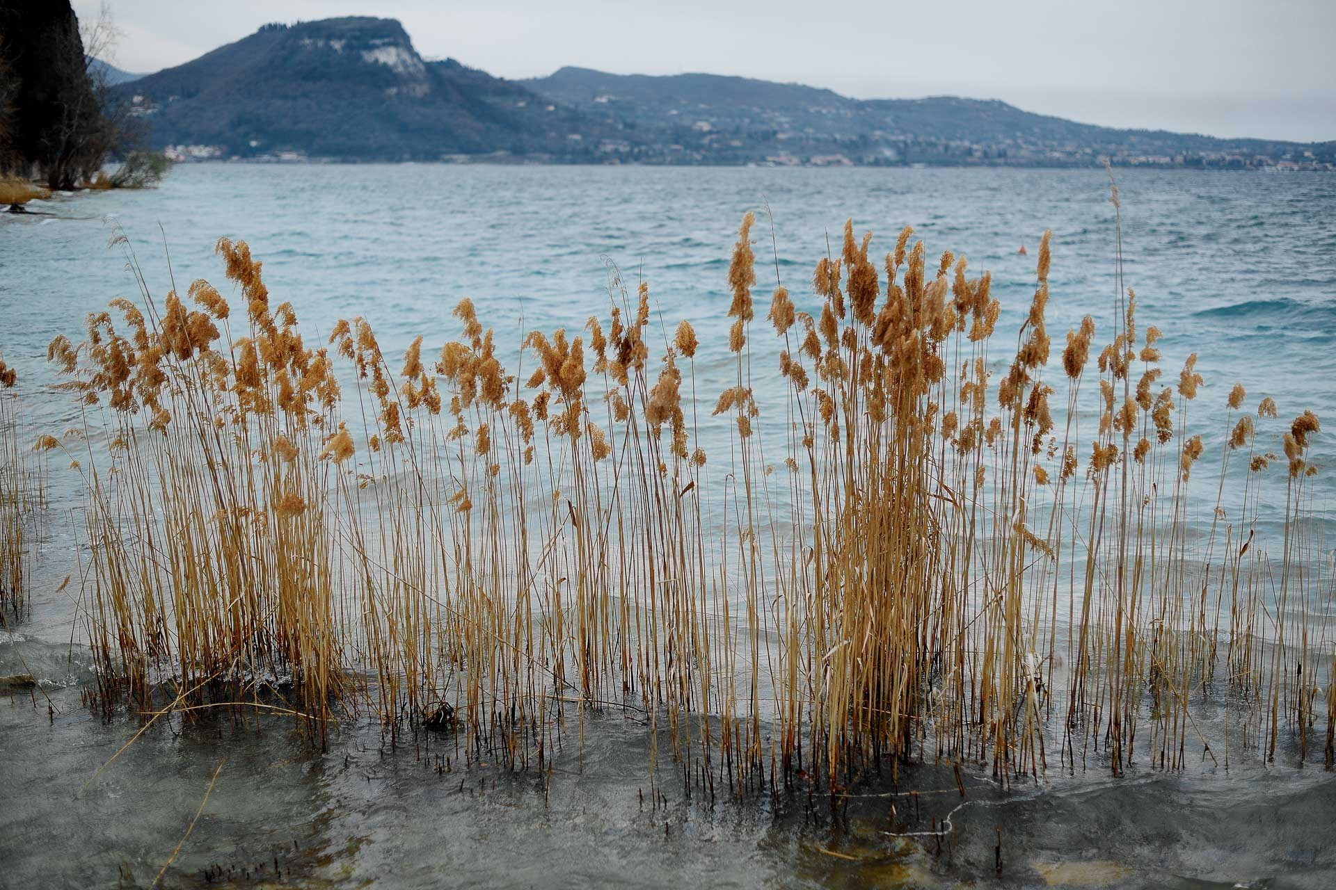 Lake Garda, Italy — Travel Photography