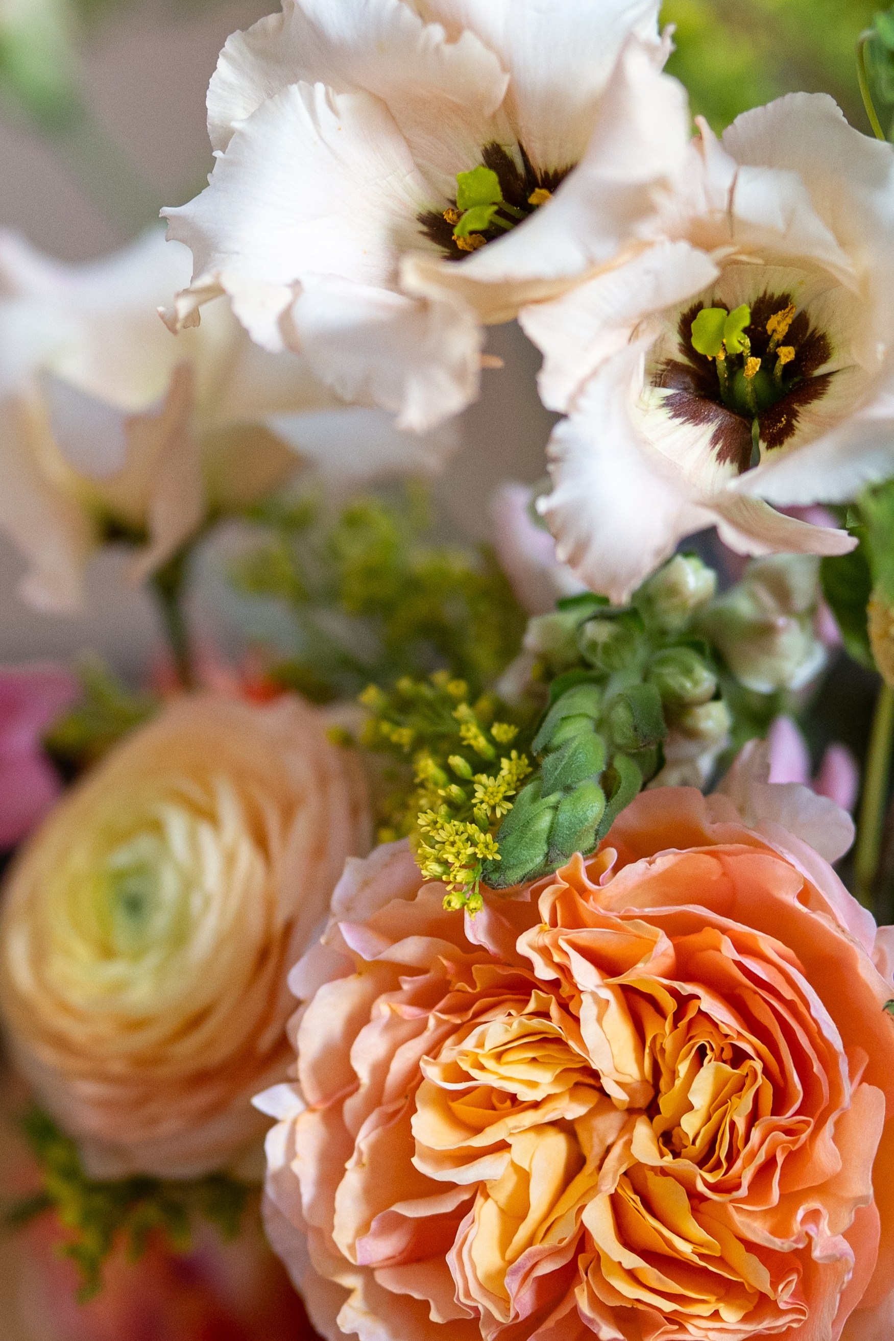 Flowers. Photographer in Madrid, Spain. Alyona Belyaninova