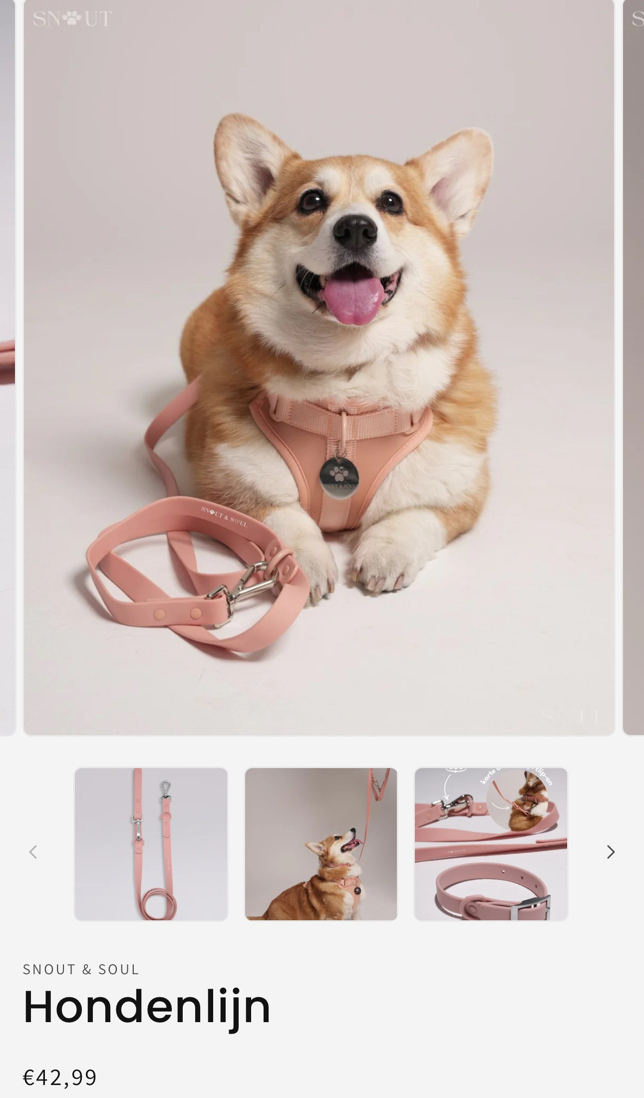 Professioneller Studiofotograf in München – Fotos, Content Creation, Shooting für jeden Anlass. Fotostudio Aesthetic Space in München. Fotostudio mieten ab 1 Stunde